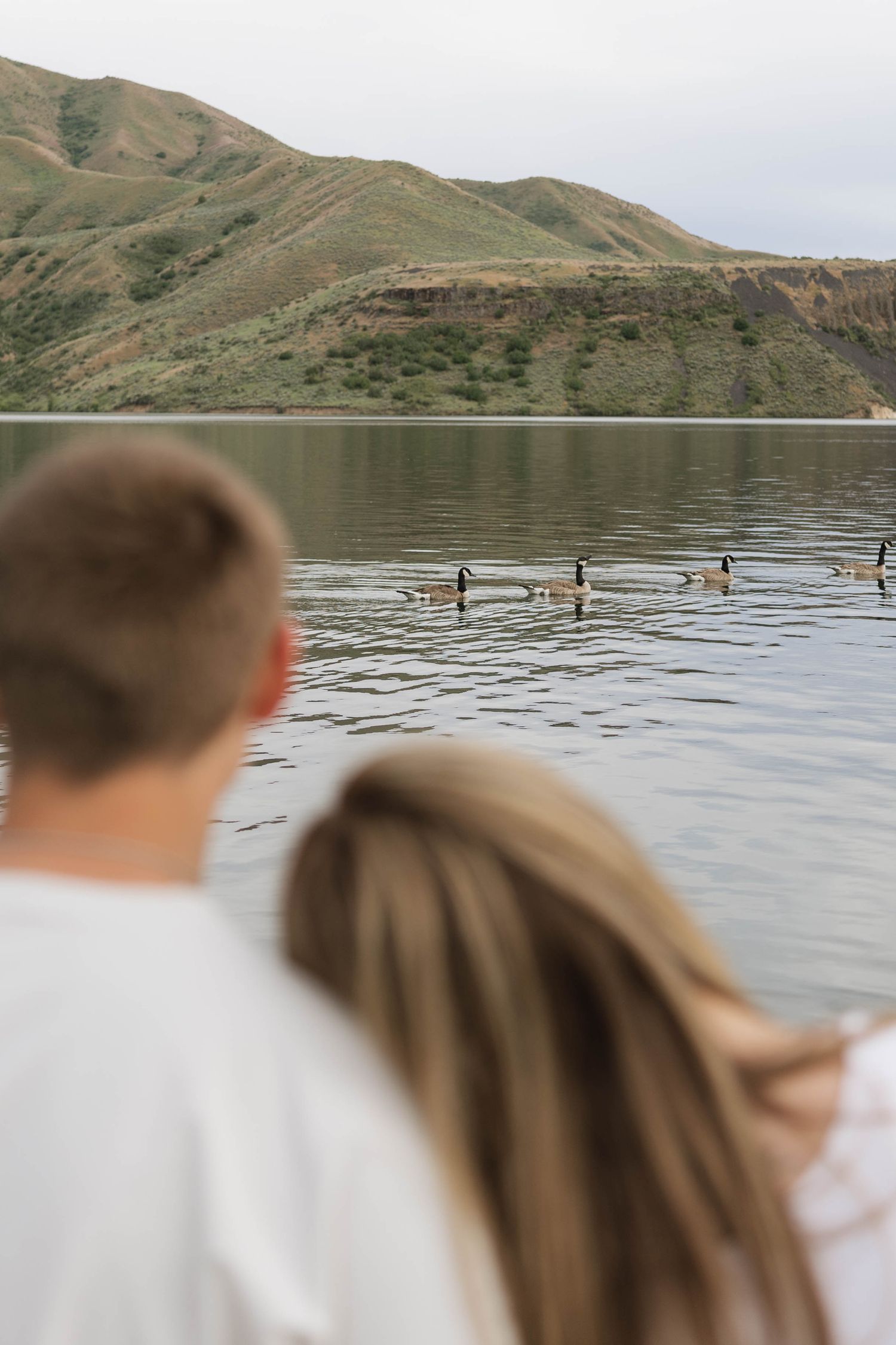 Couple watching Canada geese swim on a calm lake with green hills in the background.