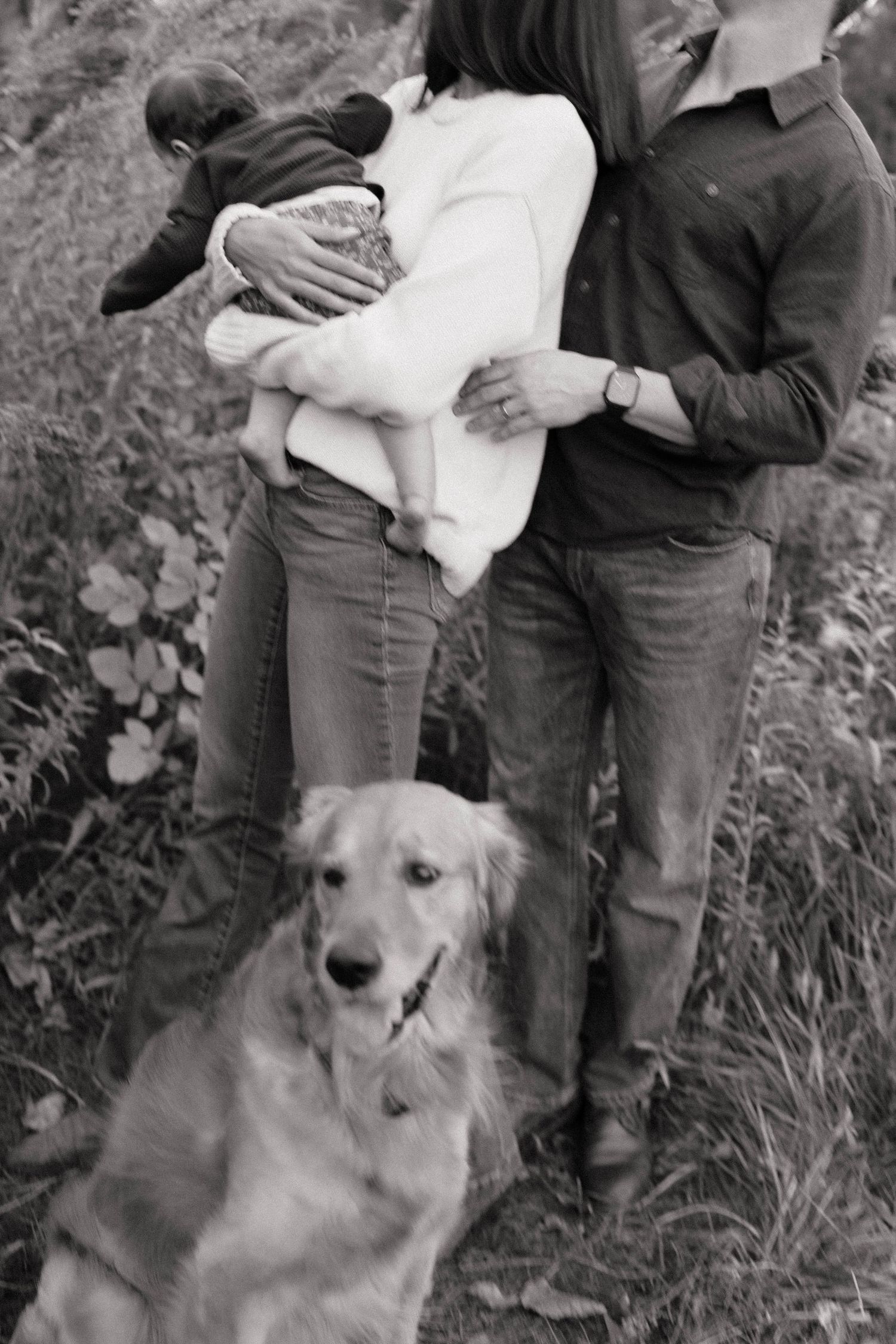 Black and white photo of a couple holding a baby while a golden retriever sits in front of them in a grassy field.