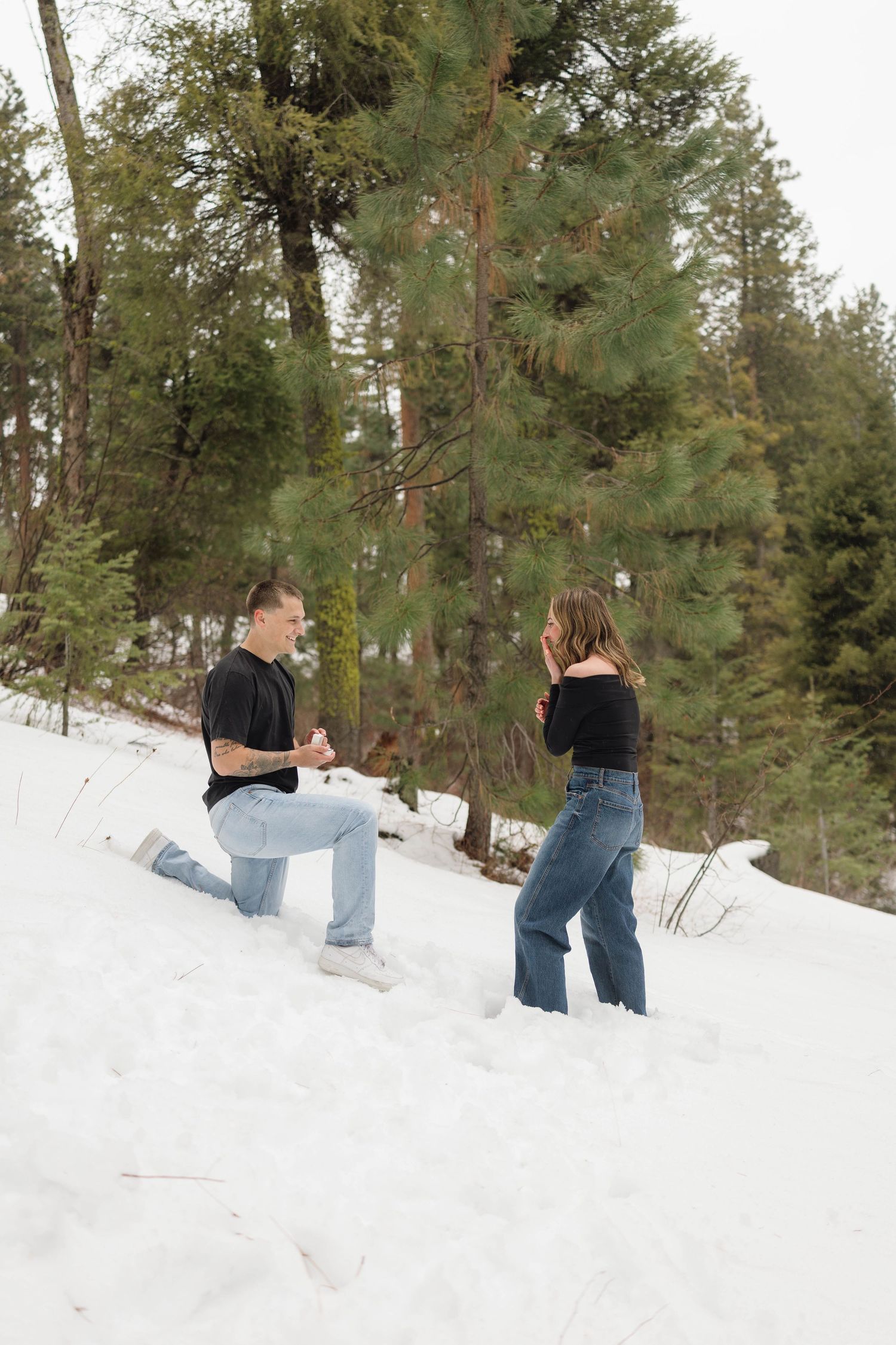 A couple shares a romantic proposal moment in the snow with tall pine trees in the background.
