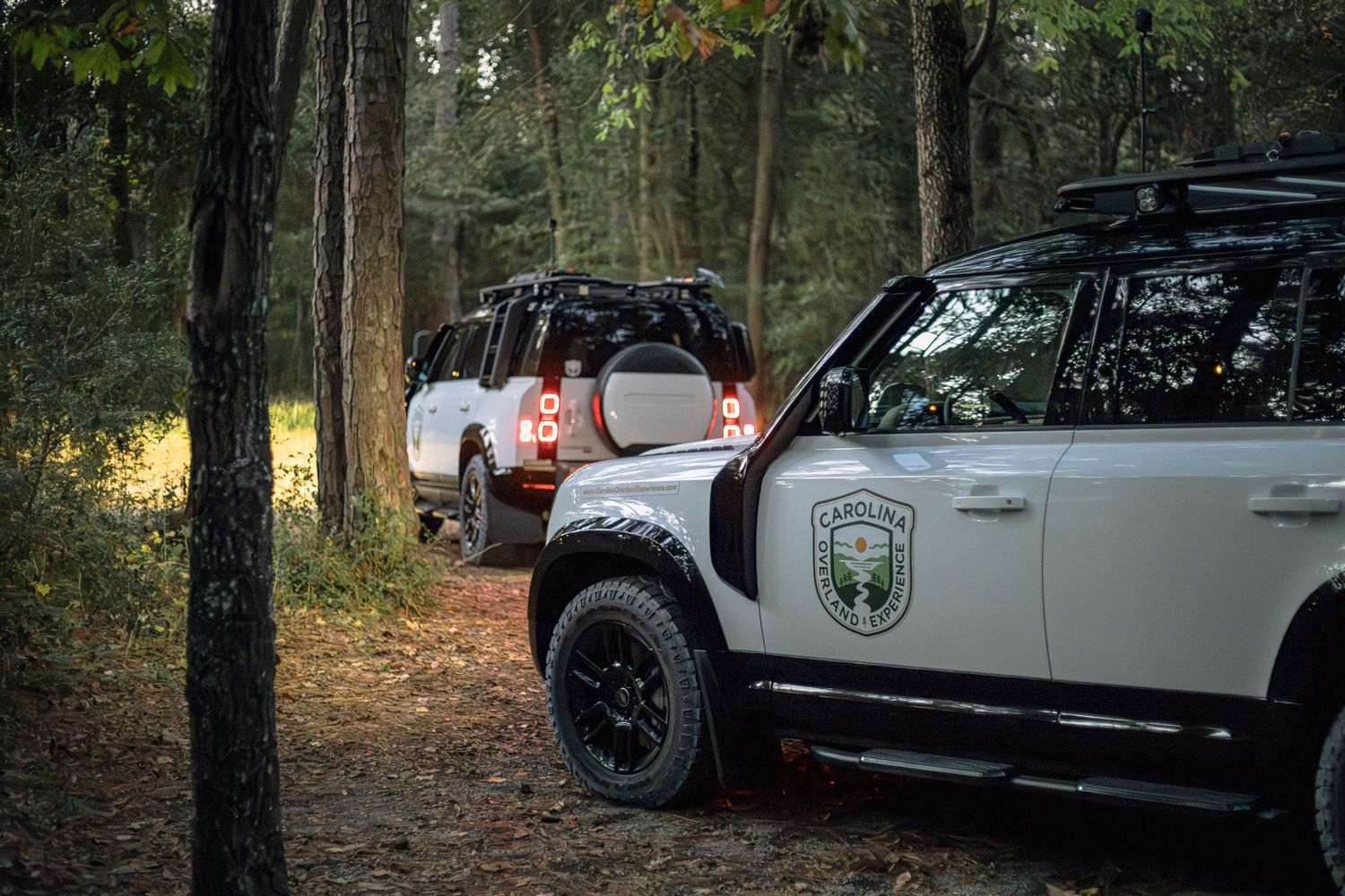 Two off-road vehicles with roof racks traverse a wooded trail in a forest setting.