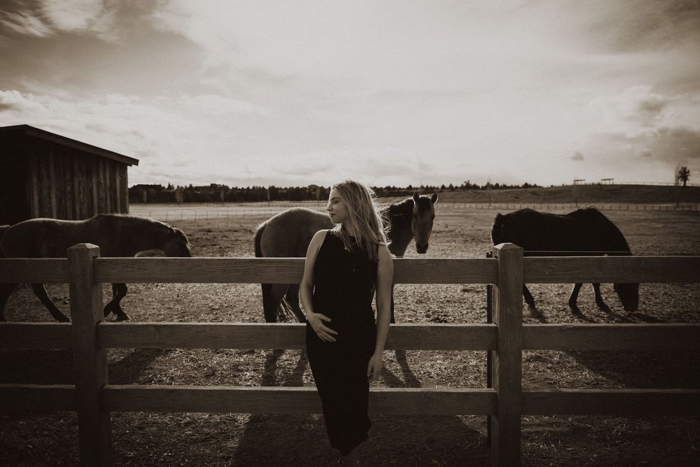 Panoramic view of horses by wooden fence in sepia toned countryside landscape.
