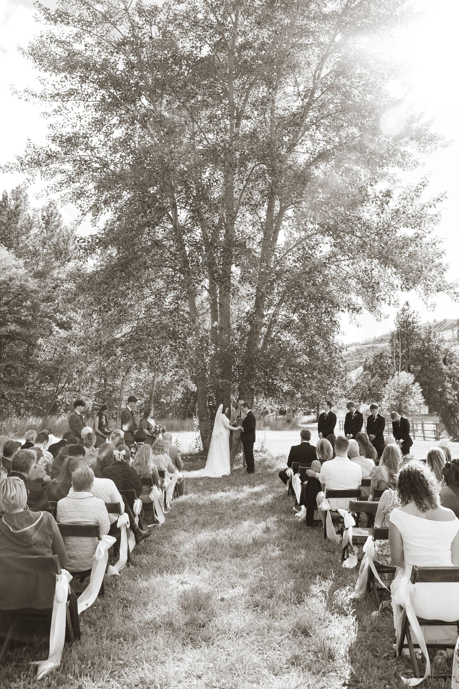 Outdoor wedding ceremony under a large tree with guests seated on white chairs in a serene black and white setting.