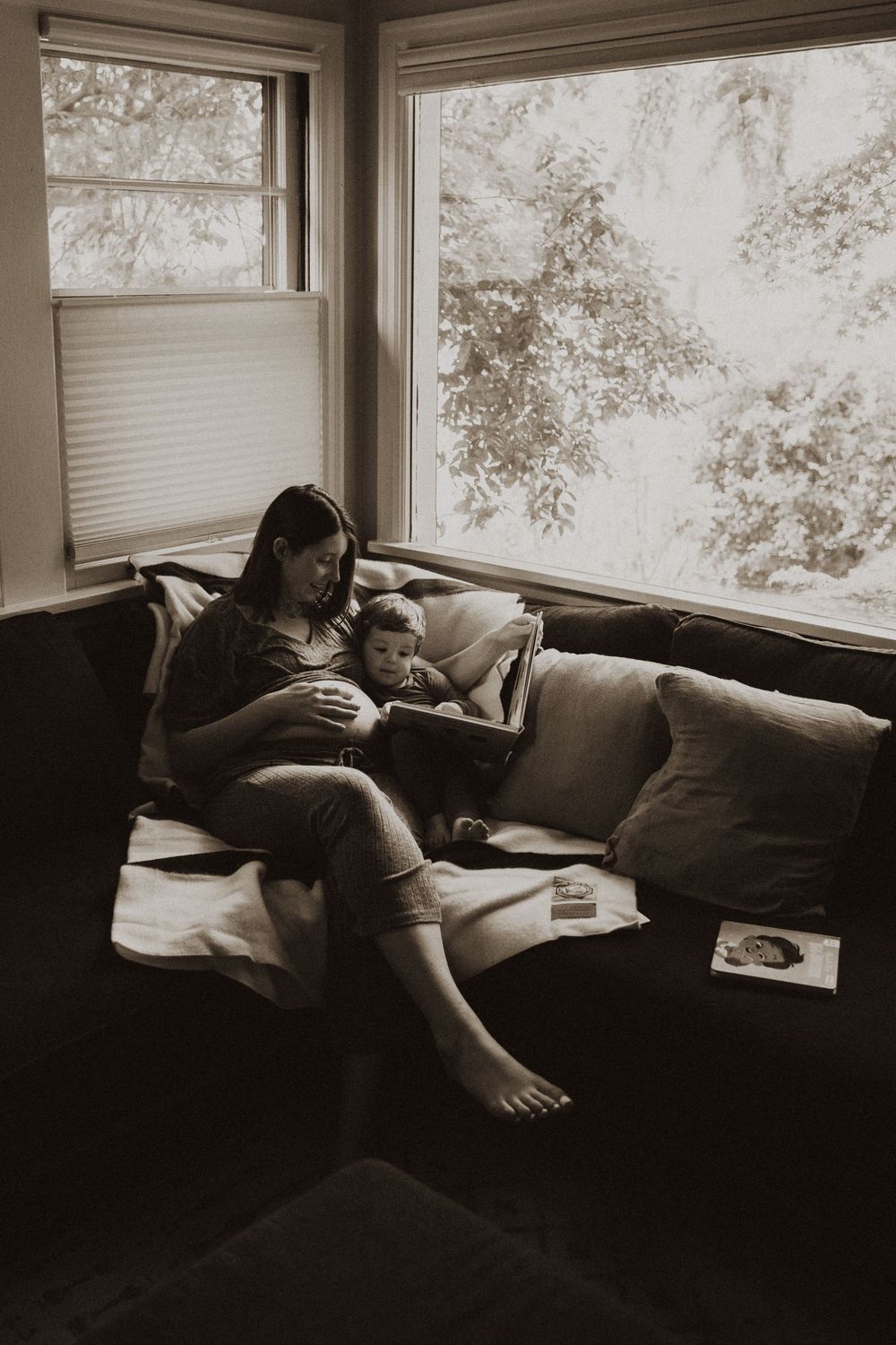 Peaceful moment captured on a comfortable couch near sunlit windows.