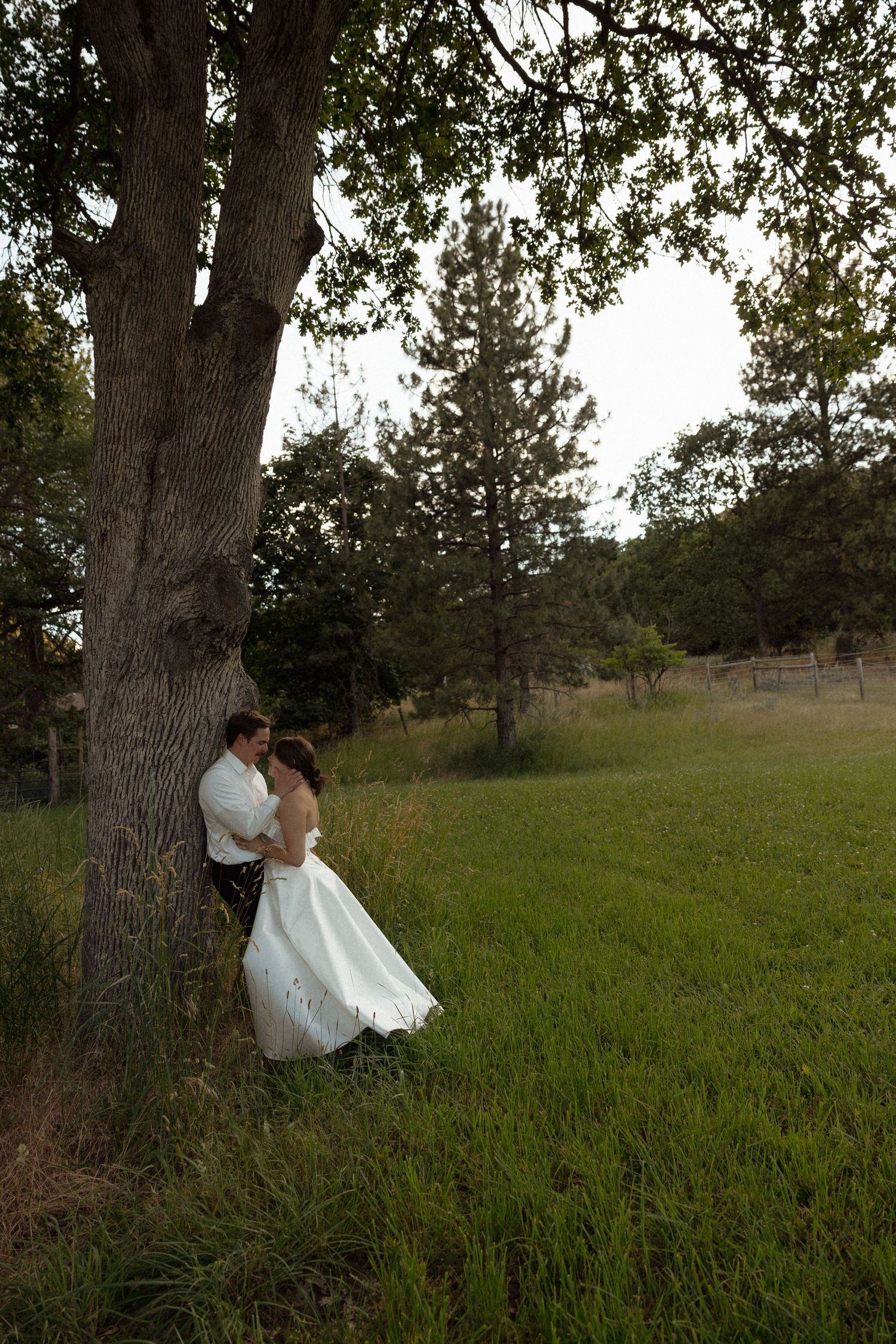 Bride and groom share a quiet romantic moment leaning against a large tree in a peaceful green meadow at dusk.