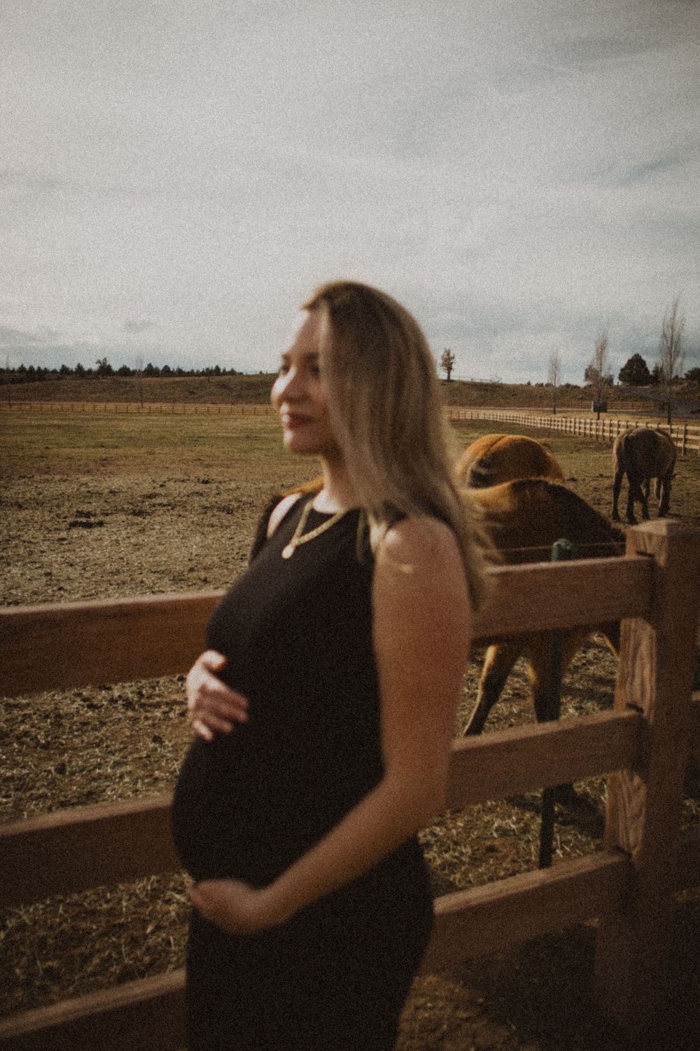 Maternity photos by wooden fence with horses grazing in background at sunset.