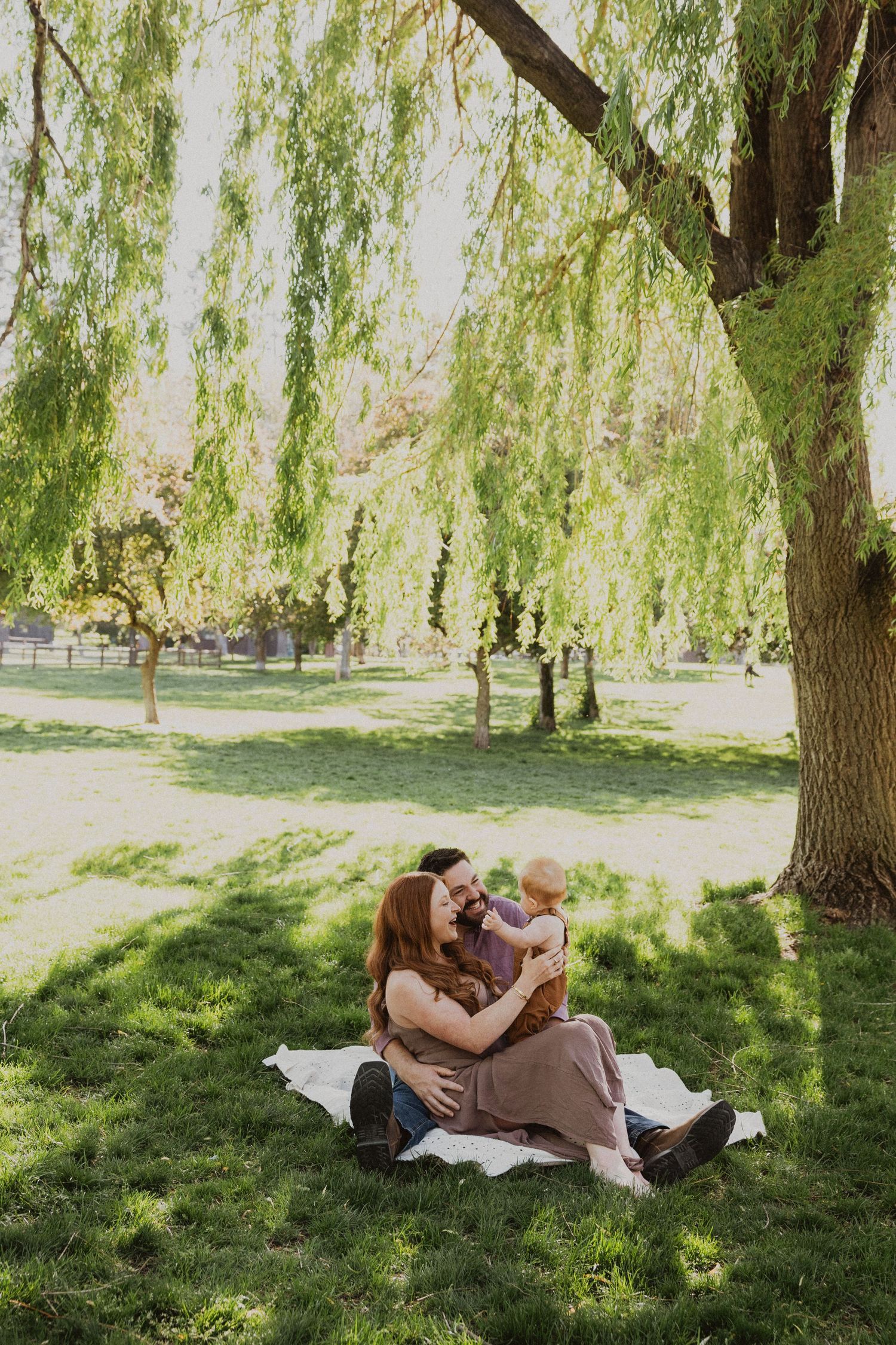 A happy family sits on a blanket under a willow tree in a sunny green park.