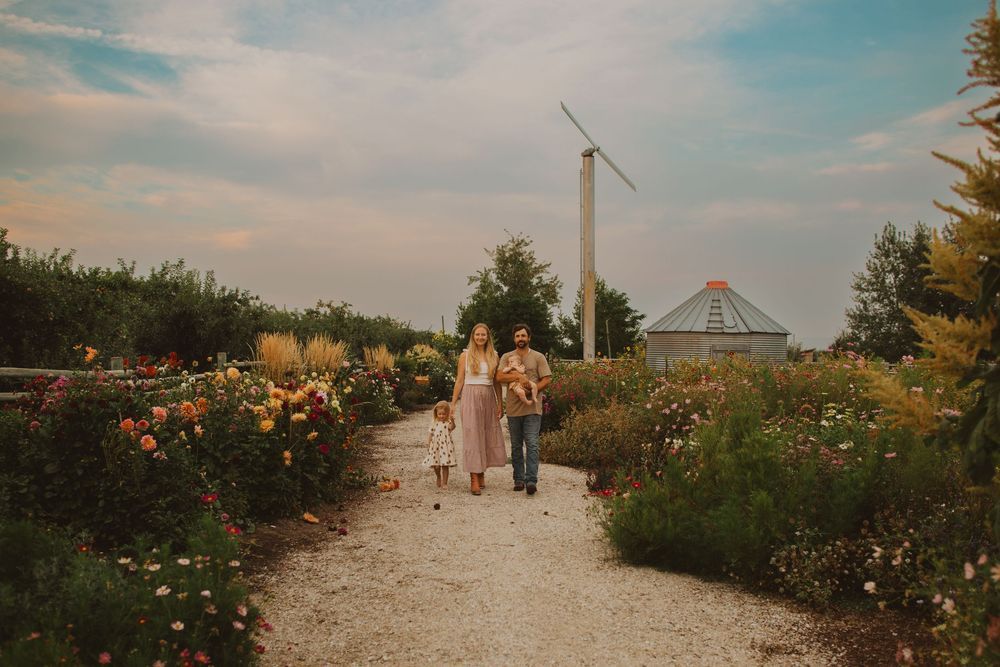 A gravel path leads through a blooming flower garden under a bright blue sky.