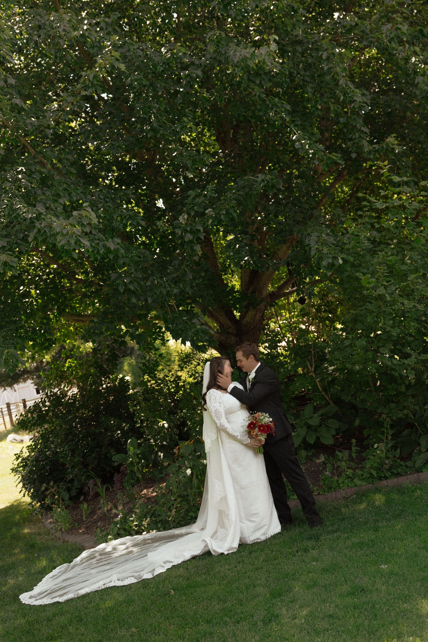 Bride and groom share a romantic moment on green lawn beneath a large leafy tree, bride wearing a long white gown with train.