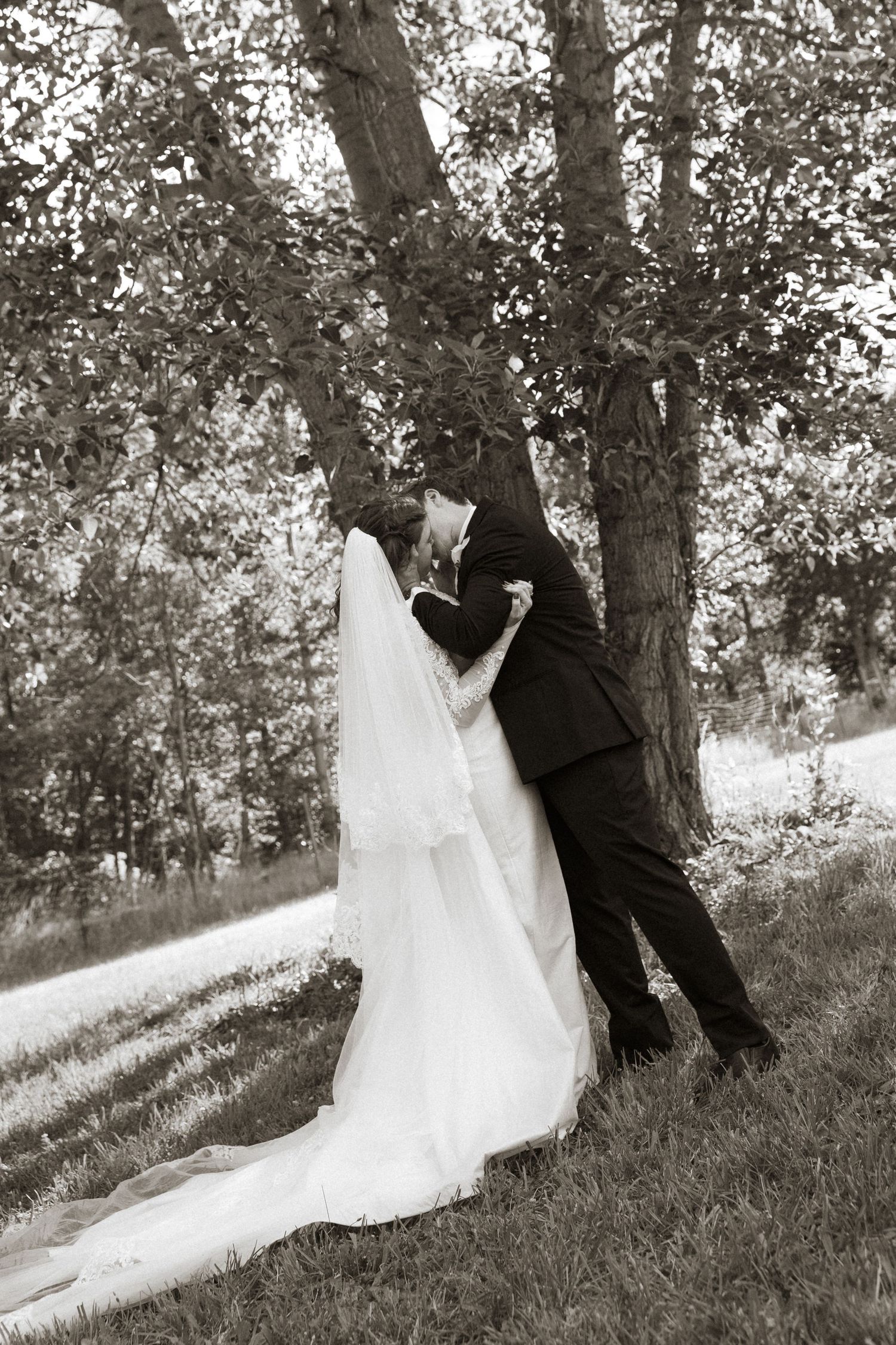 Black and white wedding photo of bride and groom sharing a romantic dip kiss near a tree.