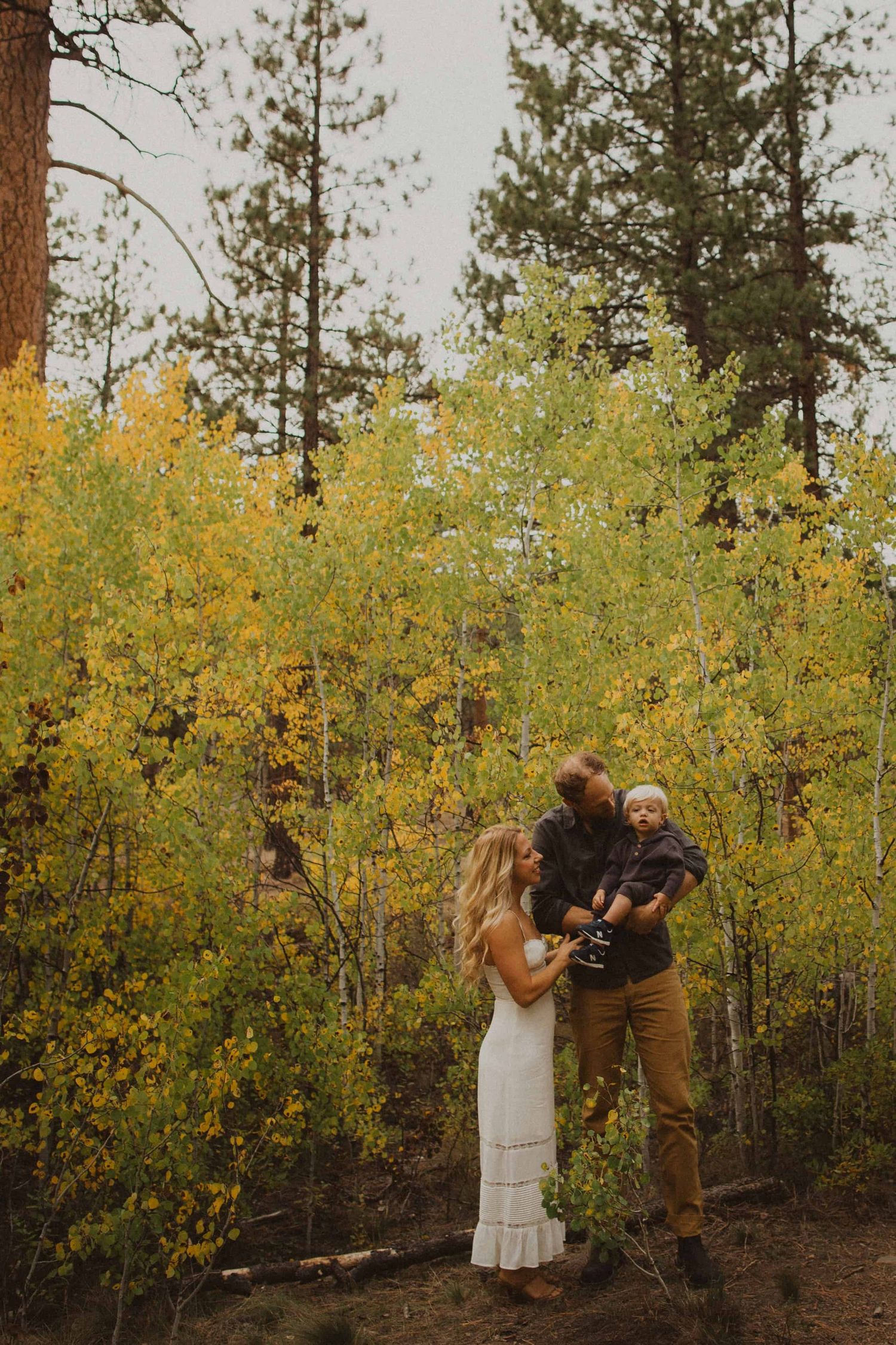 Family portrait session among vibrant yellow aspen trees in a mountain forest.