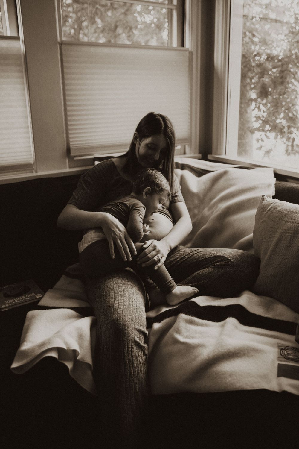 Cozy indoor scene on a sofa in soft window light.