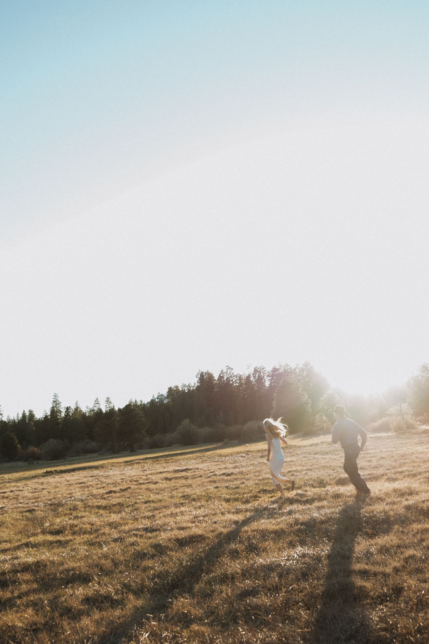 Couple running through a sunlit golden meadow with pine trees in the background on a clear day.