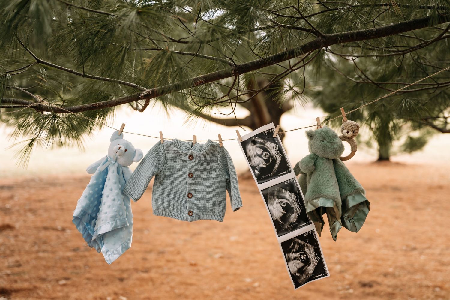 Baby clothes and ultrasound photos hanging from tree branches against sunset sky.