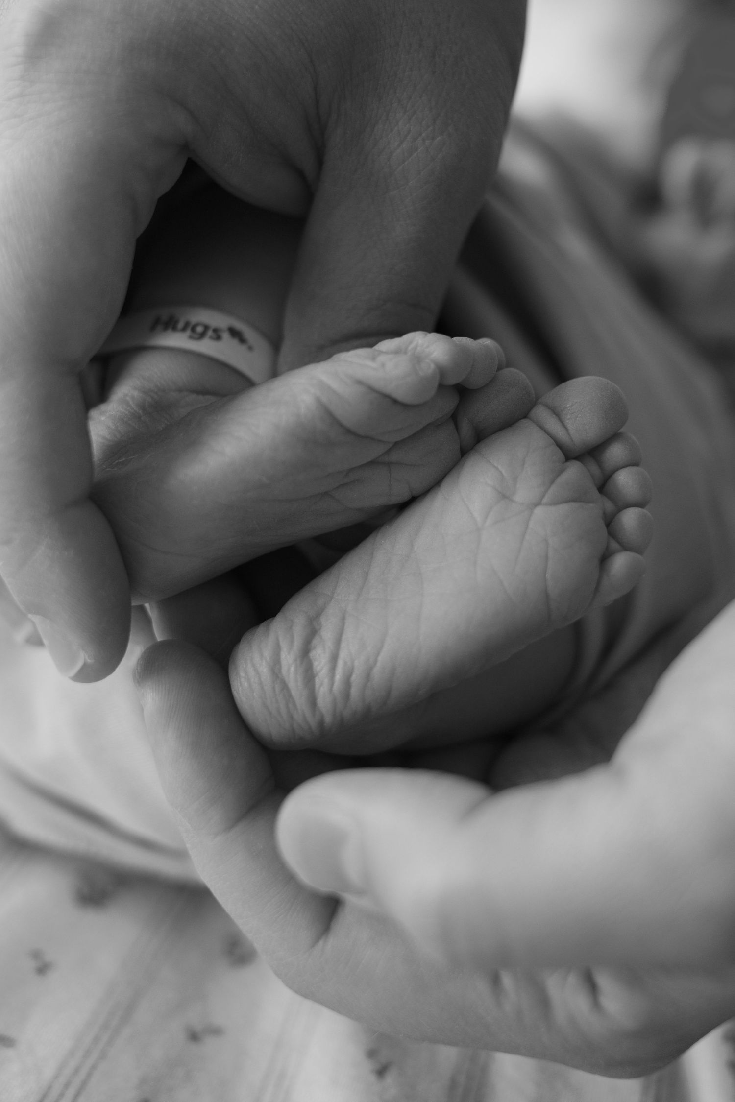 Black and white close-up of parent's hands gently holding newborn baby's tiny feet.