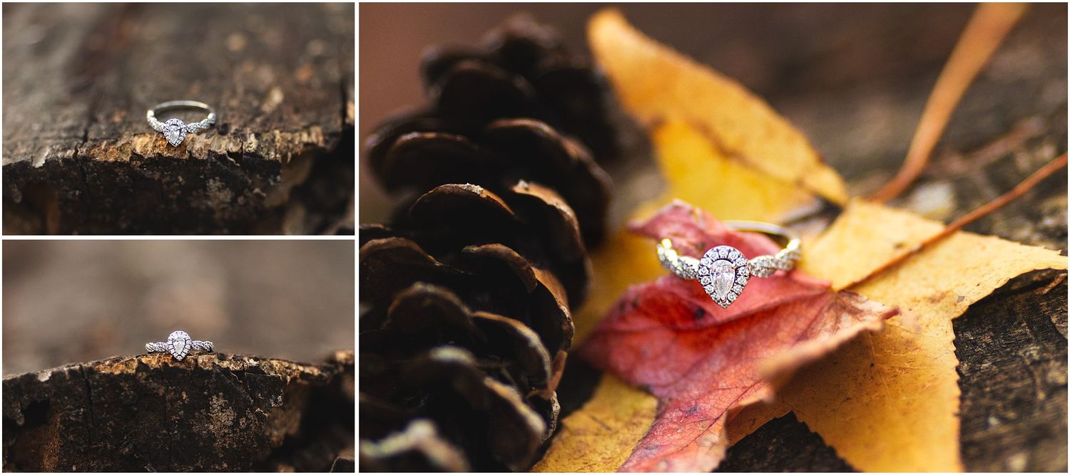 Close-up photos of engagement ring on pine cone and autumn leaf.