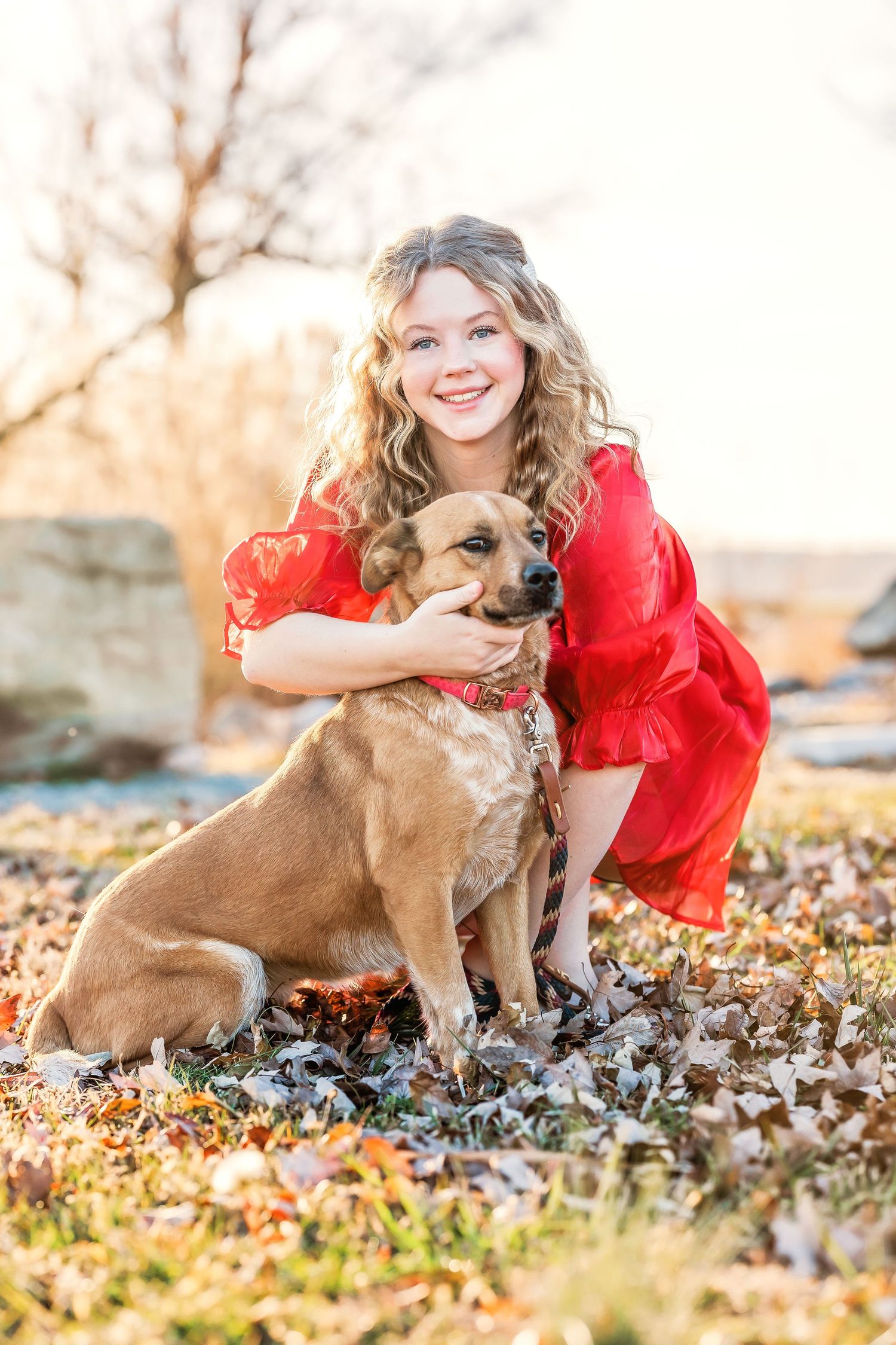 Person in red shirt plays with brown dog in autumn leaves during sunset.