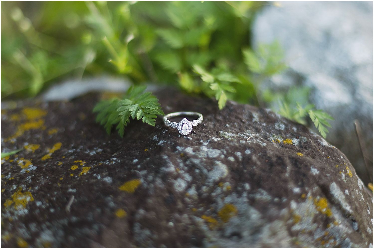 Diamond engagement ring photographed on a mossy rock with green ferns.