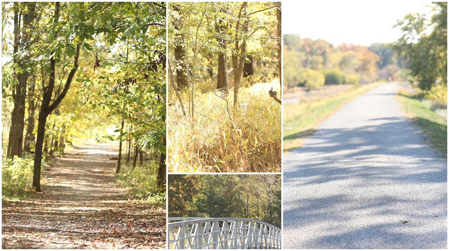 Scenic fall trail collage showing paths through wooded areas in autumn colors.