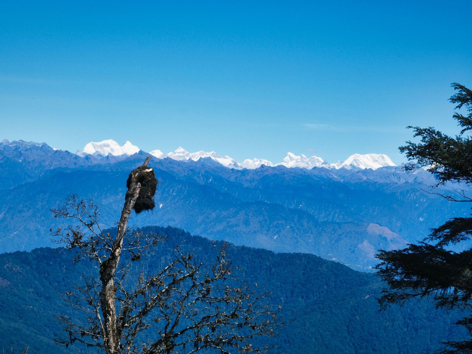 A photo of the Dochula Pass in Bhutan showing the Himalayas in the distance with snow on their peaks.