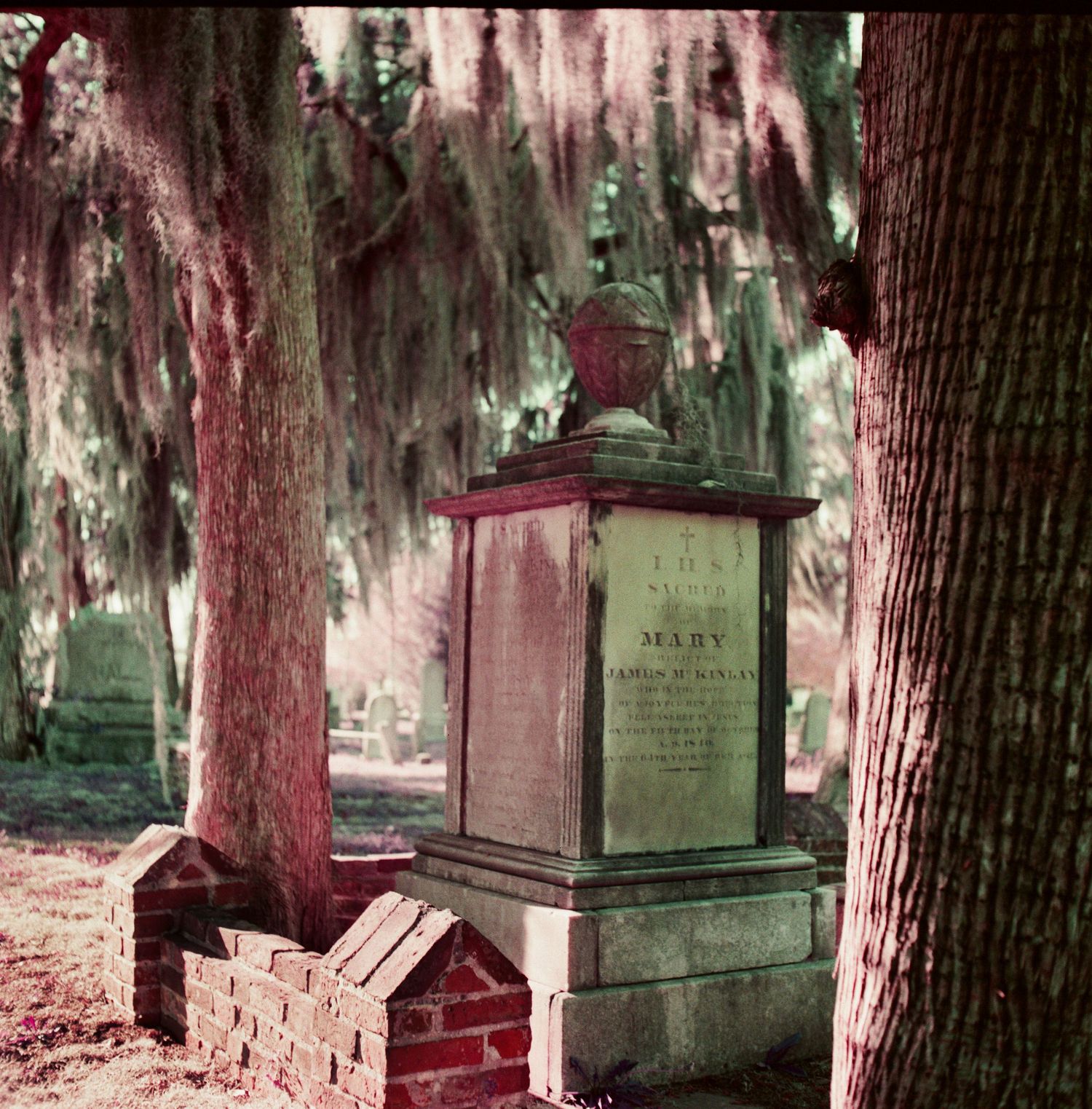 Photograph of a grave marker from a cemetery in New Bern, North Carolina. Moss hangs from the trees and creates a haunting atmosphere.