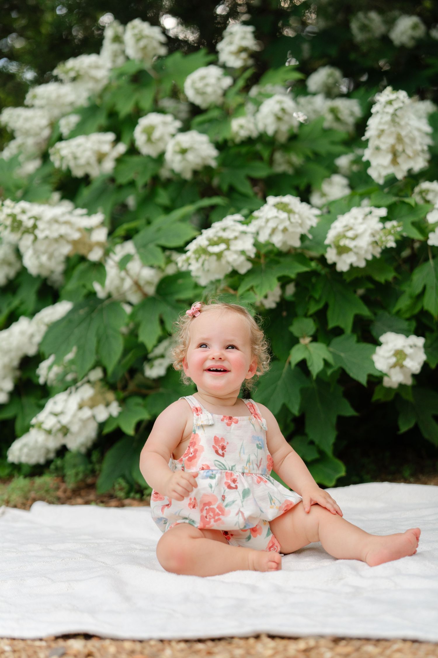 Happy toddler girl in floral dress sitting on white blanket outdoors near blooming white hydrangea bushes.