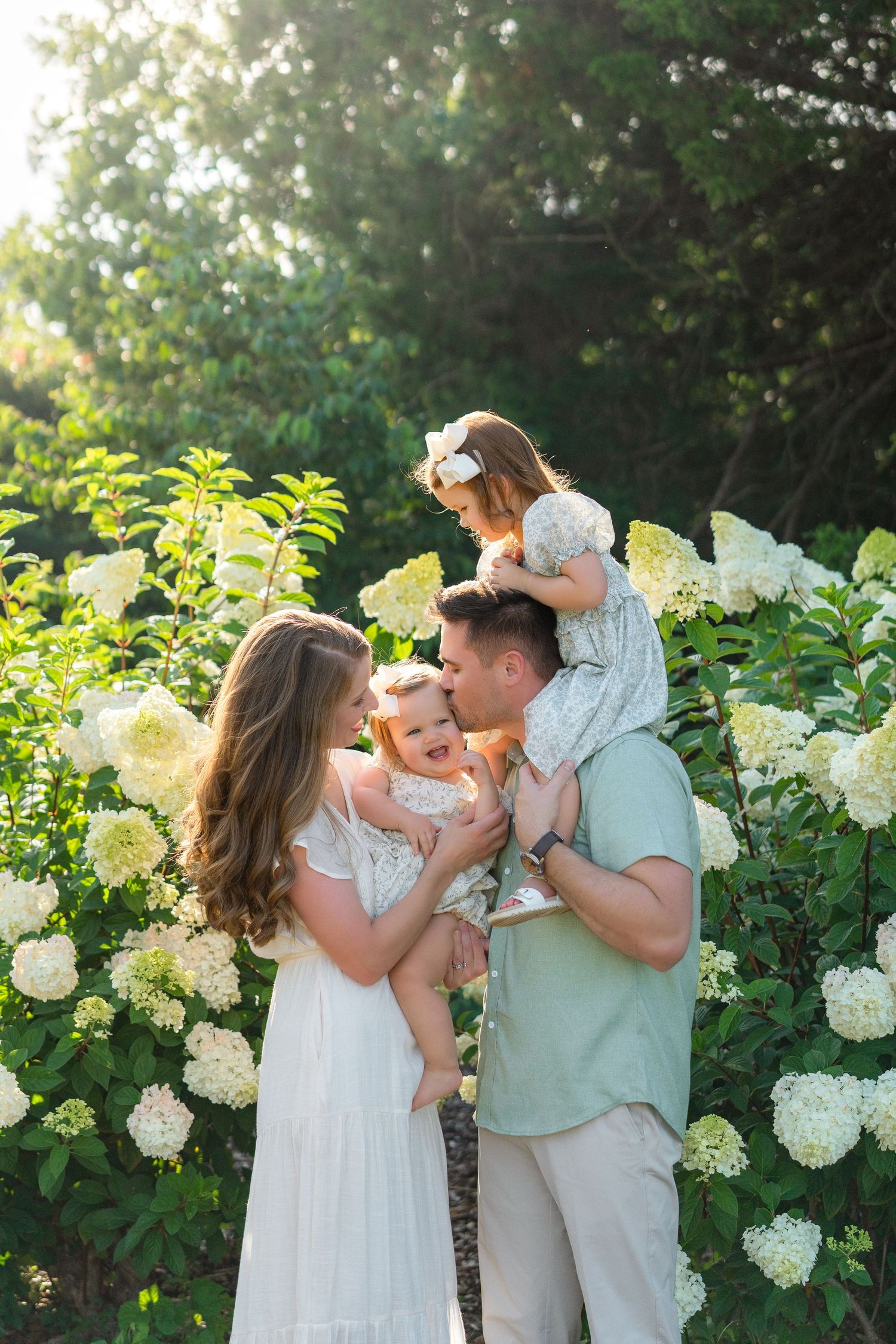 Family of four posing among white hydrangeas in golden sunlight, parents holding two young daughters in a lush garden.