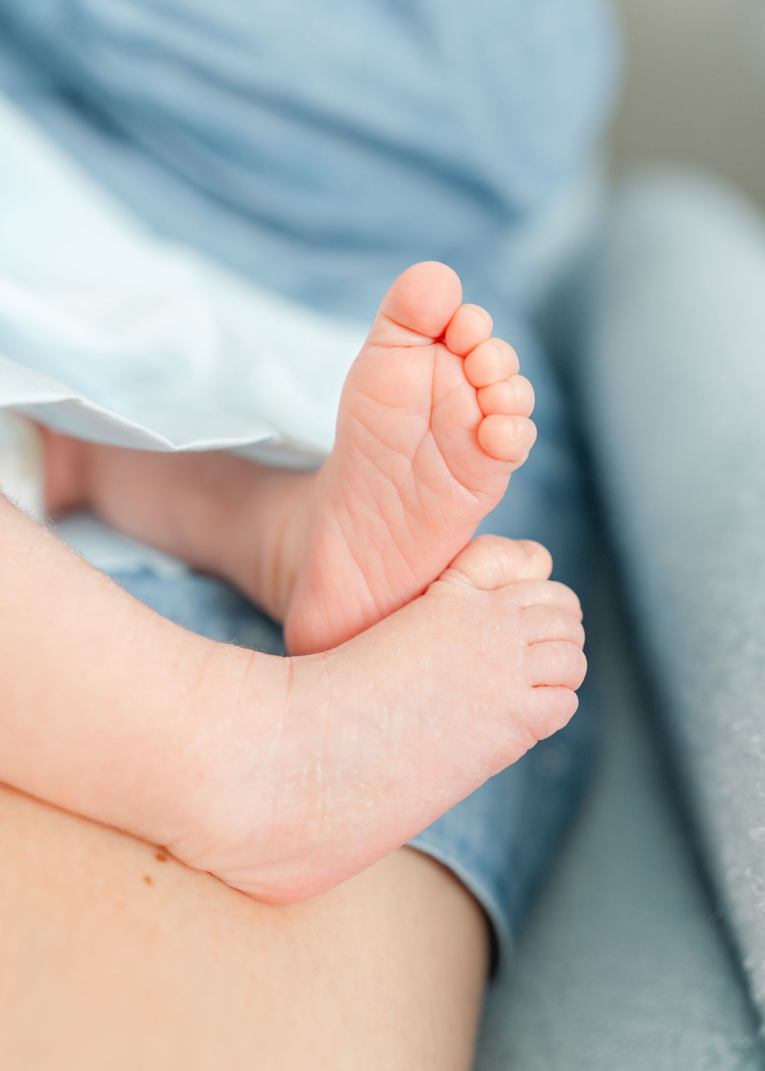 Close-up of tiny newborn baby feet resting on a soft blue blanket in natural light.