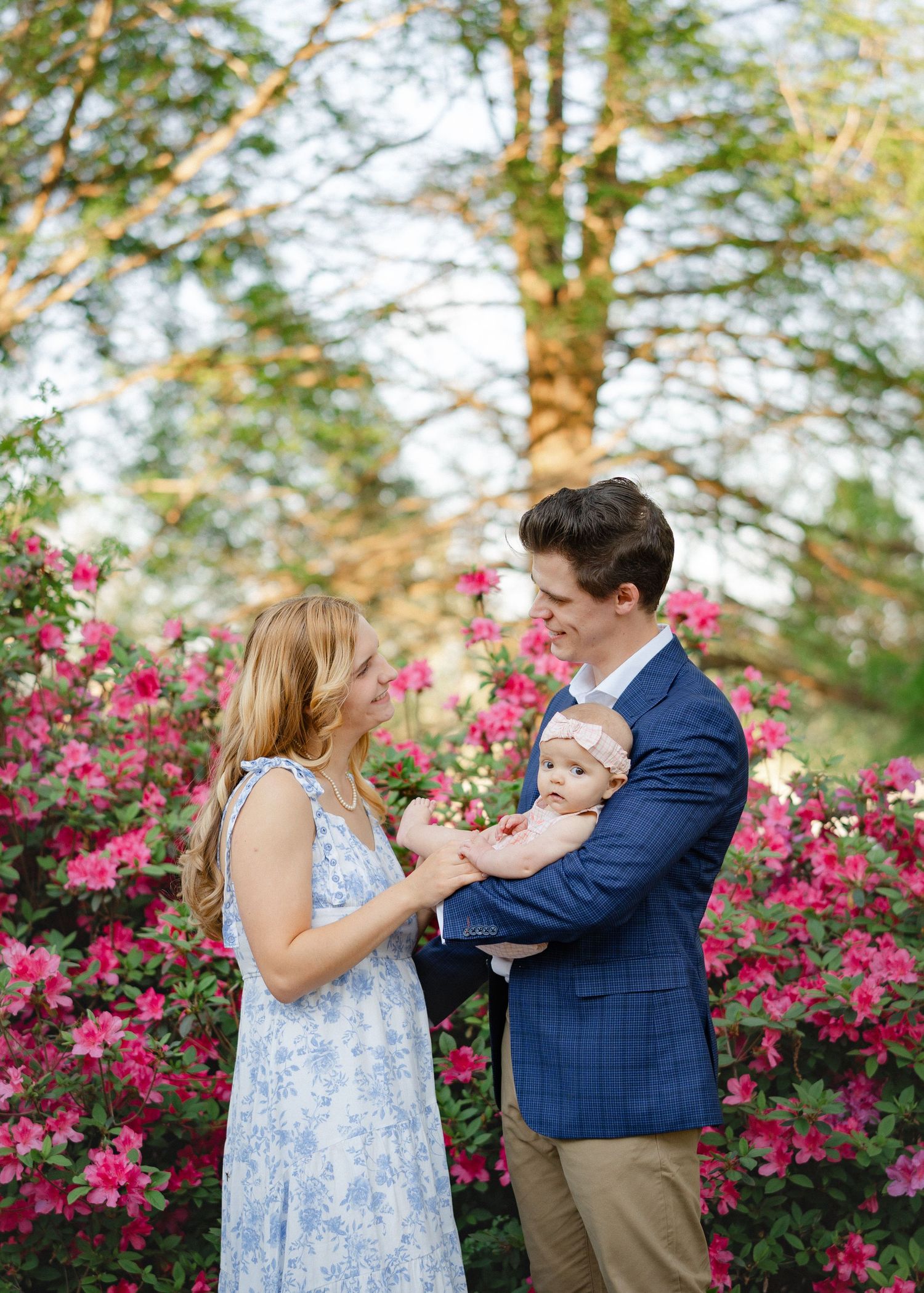 Young family poses among vibrant pink azalea bushes, father holding infant daughter outdoors.