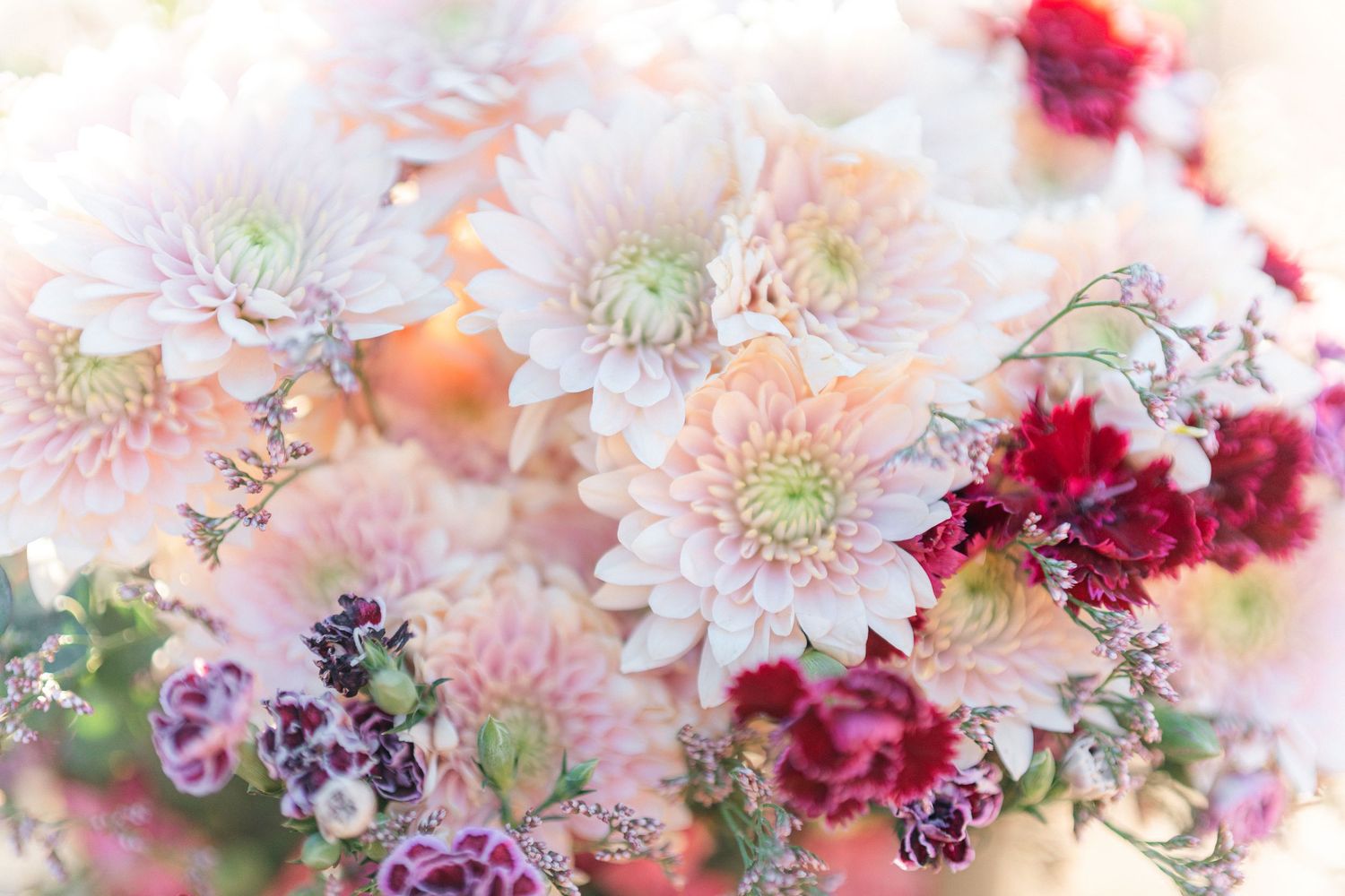 Soft pink and white dahlia flowers with deep red accents in a romantic floral arrangement.