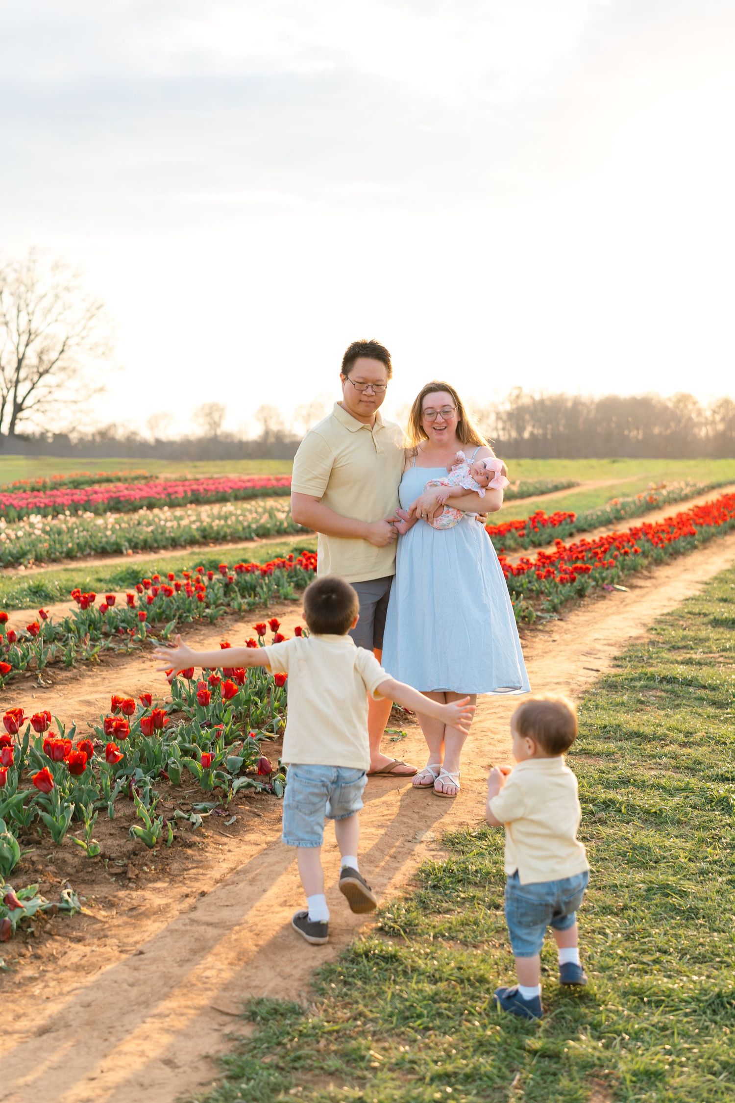 Two young boys run toward their parents holding a newborn in a colorful tulip field at sunset.