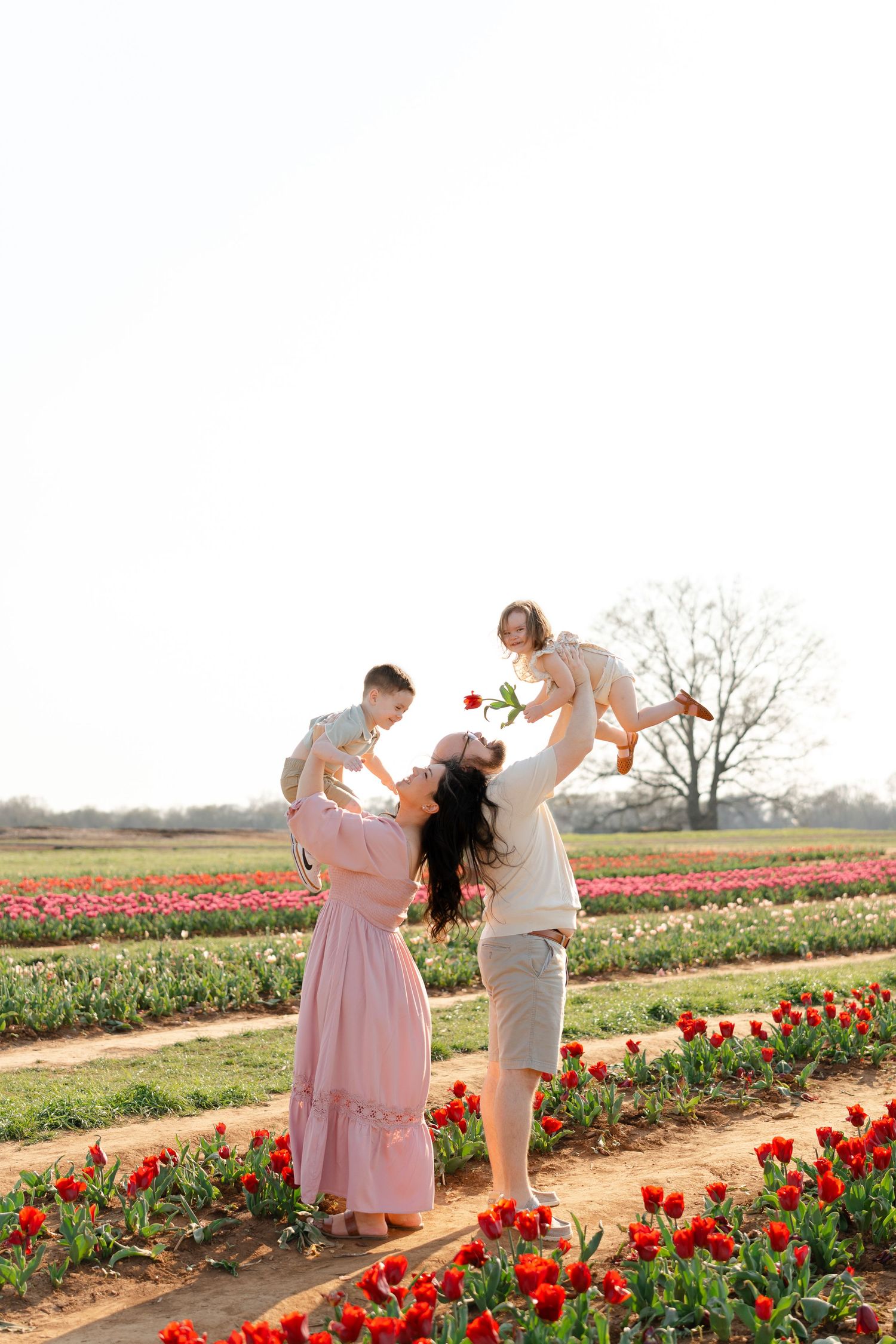 Parents lift their two young children joyfully in a vast red tulip field on a bright day.