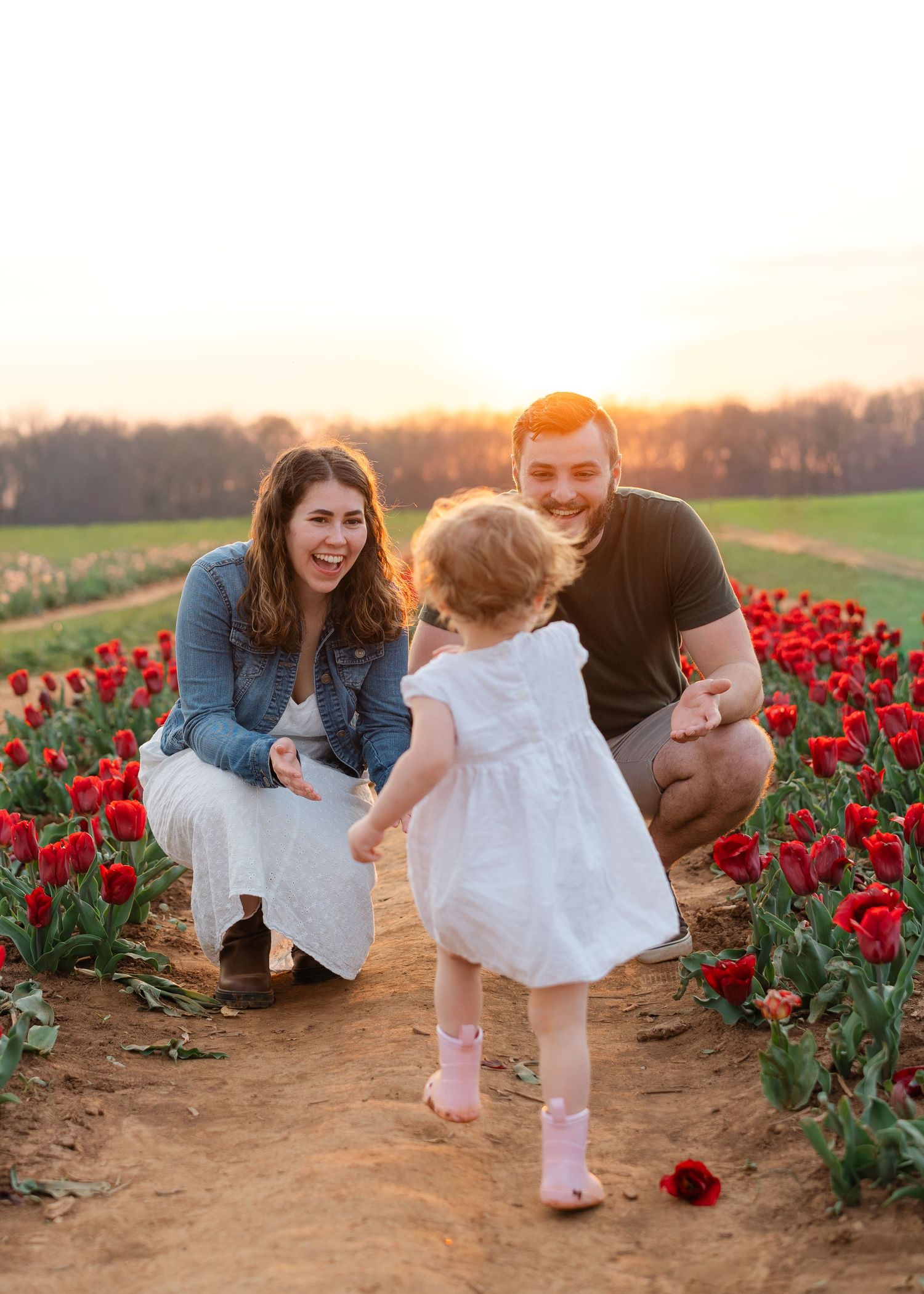 A couple crouches laughing as their toddler girl walks toward them in a red tulip field at sunset.