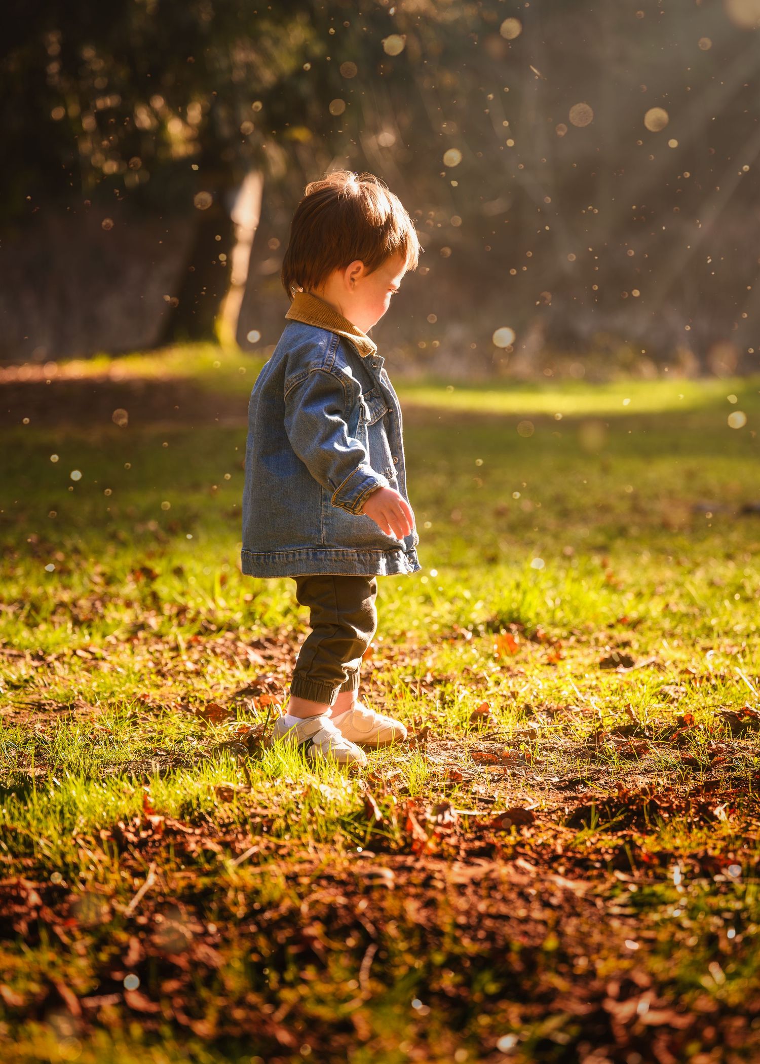 A child in jeans and a blue sweater plays in fallen autumn leaves on a sunlit ground.
