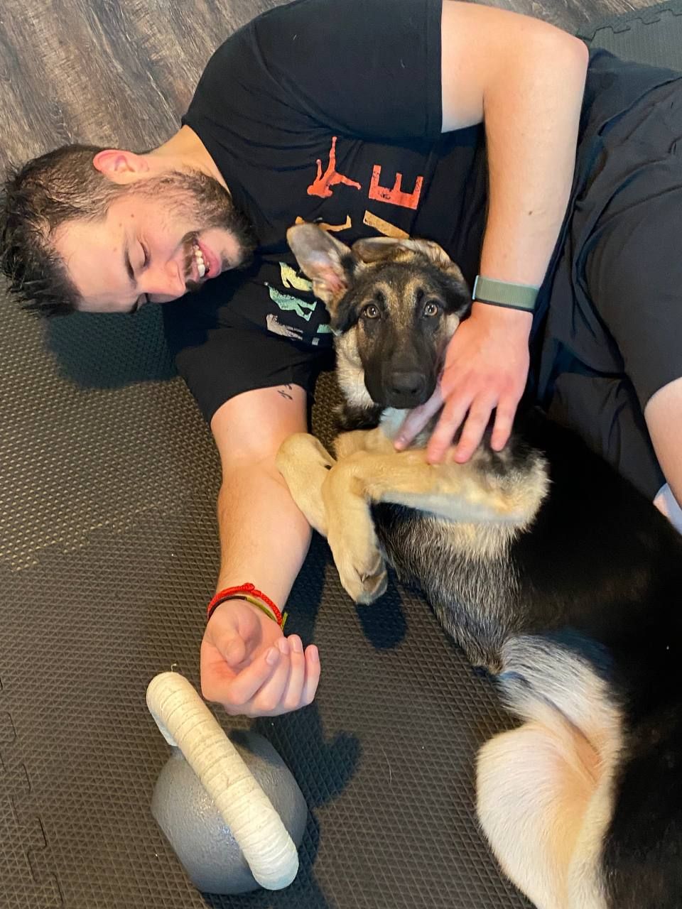 Husky dog laying on floor getting belly rubs and attention.