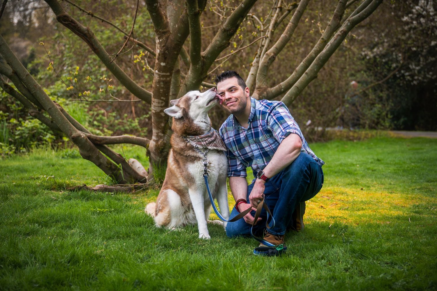 Seattle Pet Photographer