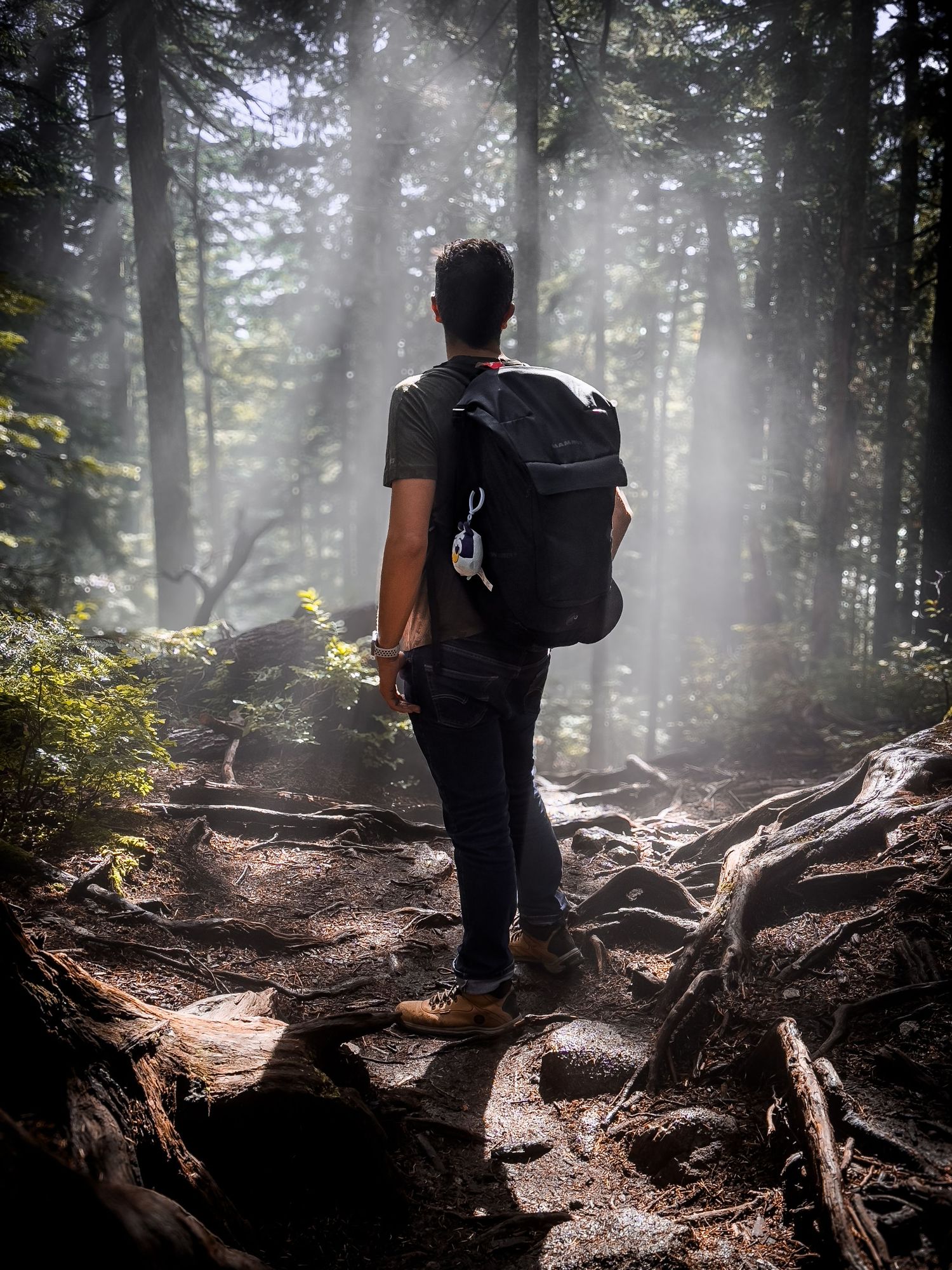 Silhouette of a hiker with backpack standing on a misty forest trail.