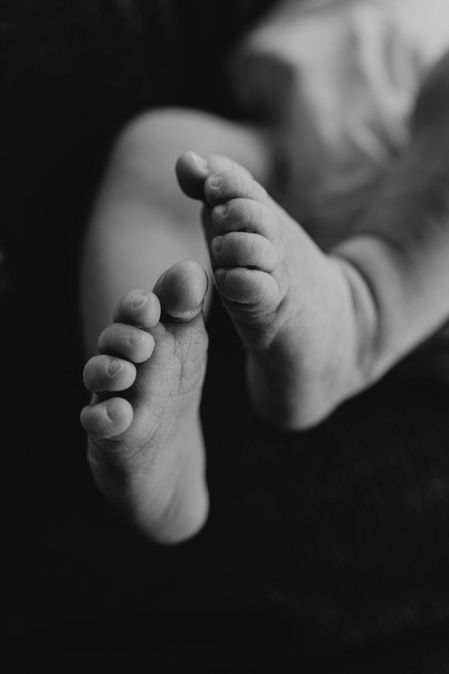 Series of black and white close-up photographs showing tiny baby fingers in dramatic lighting.