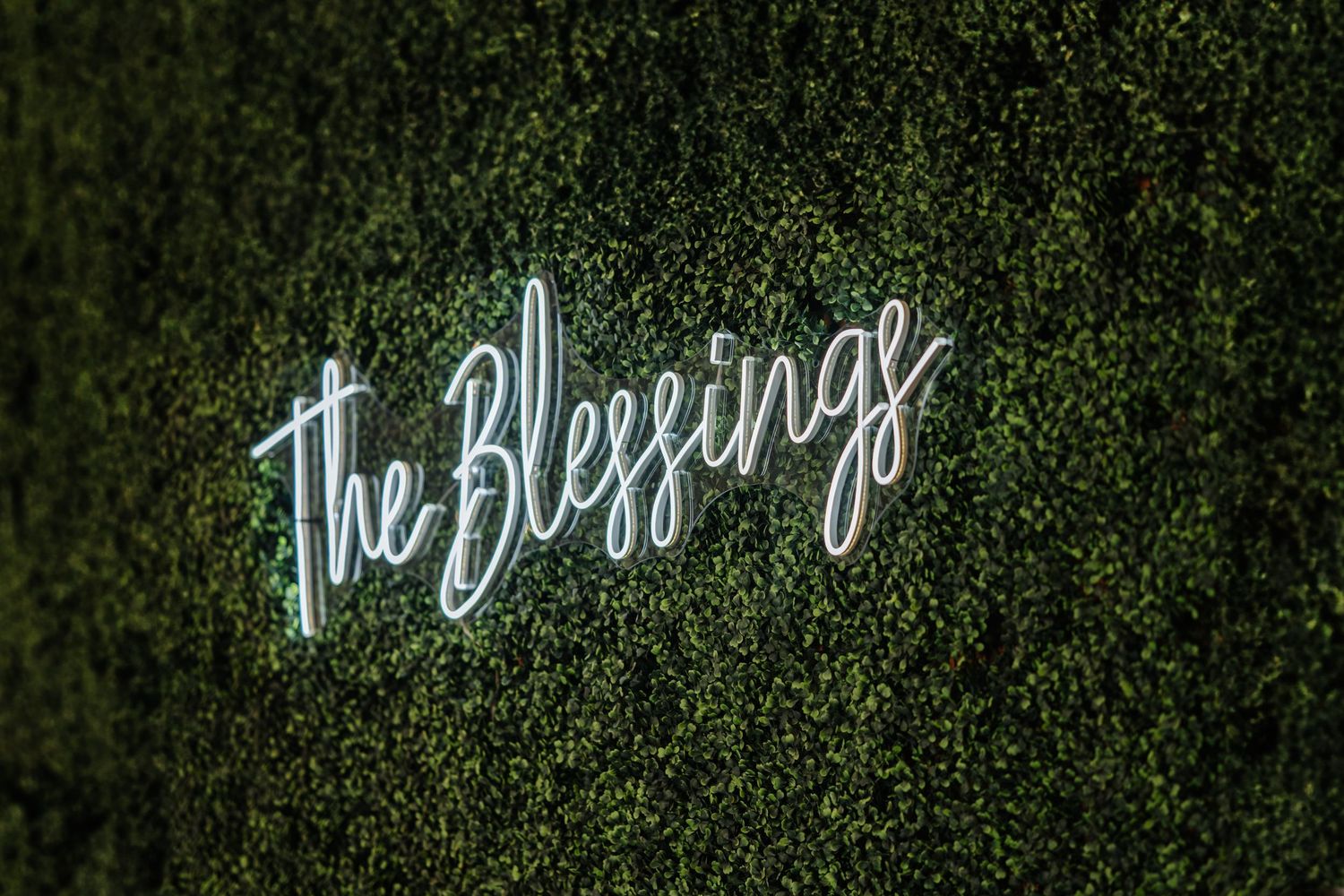 Illuminated neon sign reading 'The Blessings' against a hedge wall backdrop.