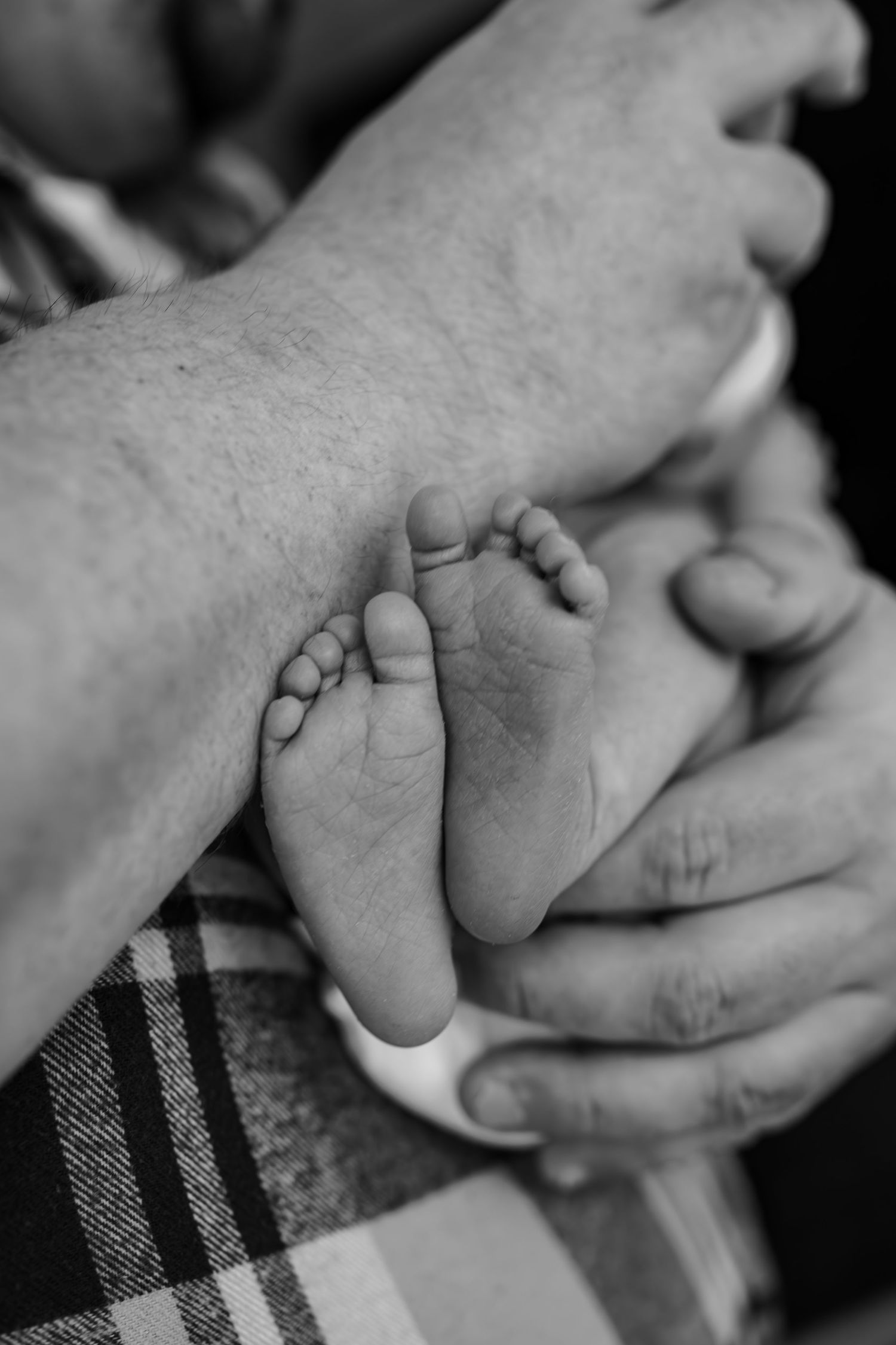 A tender black and white photo of tiny baby feet being gently held by adult hands on a plaid blanket.
