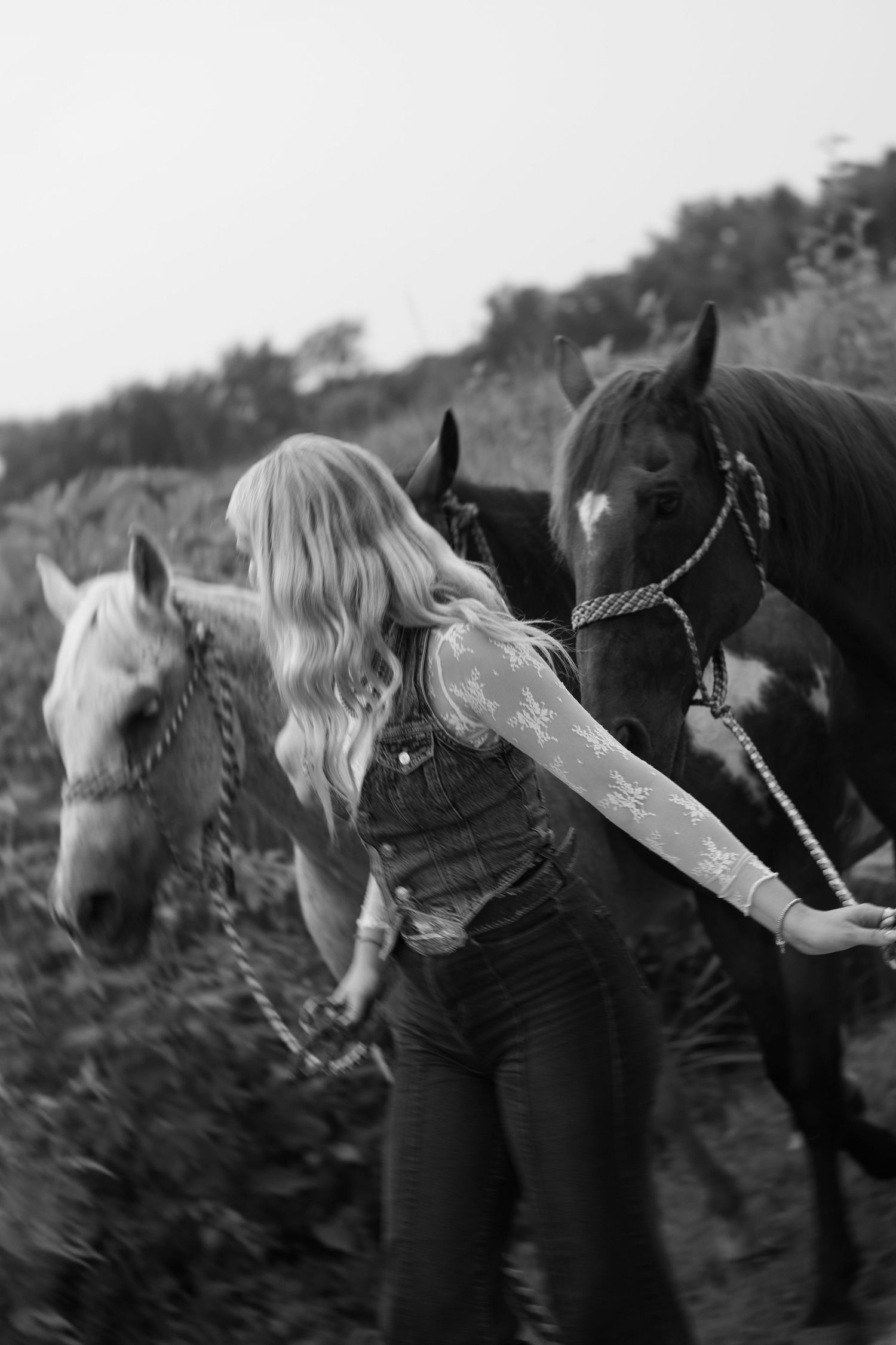 Black and white photo of horses standing in a row with natural lighting.