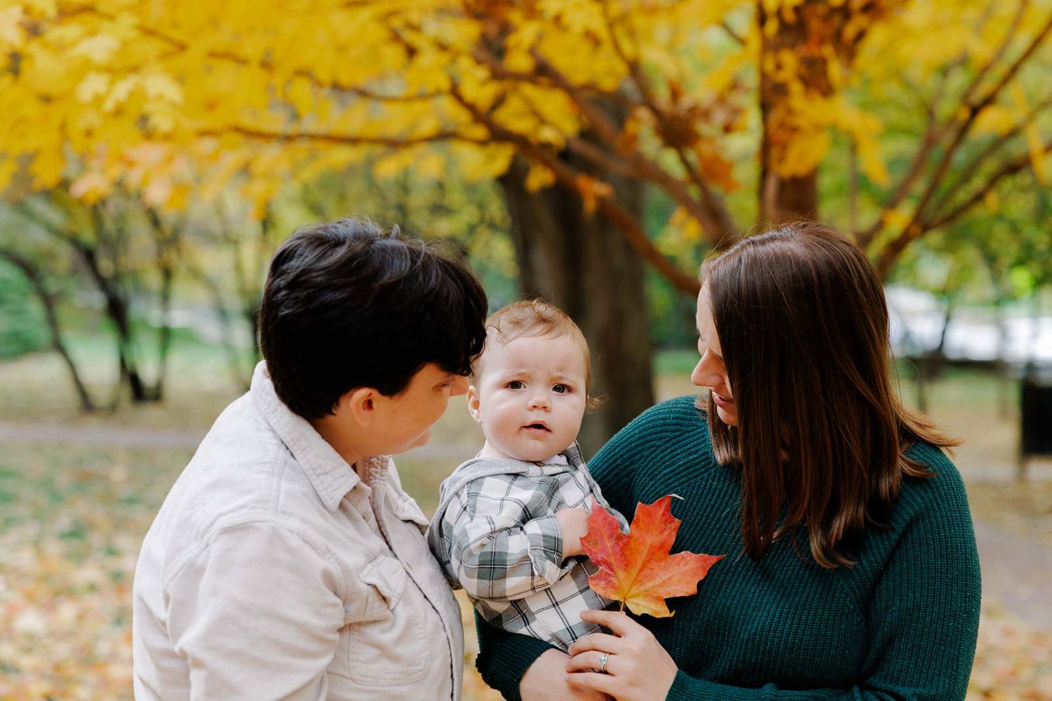 A family shares a moment with autumn leaves in an outdoor park setting.
