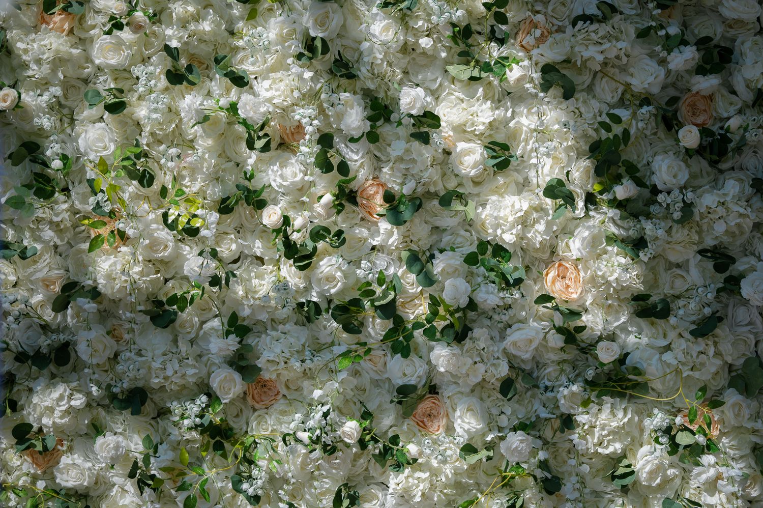 A lush wall of white roses and green leaves creating a dense floral backdrop perfect for weddings or events.