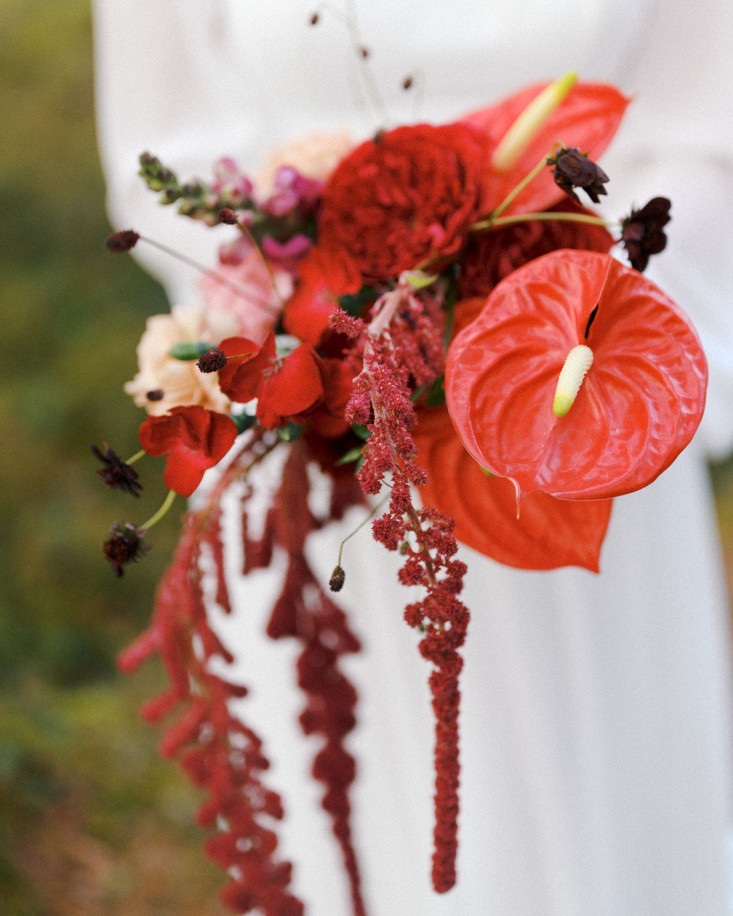 Vibrant red anthurium flowers and hanging amaranthus create a dramatic floral arrangement.