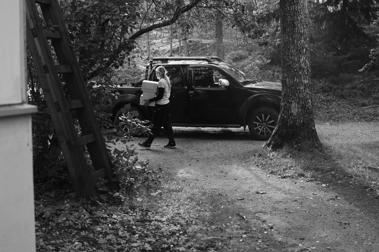 Black and white photograph of a driveway leading to a building through trees.