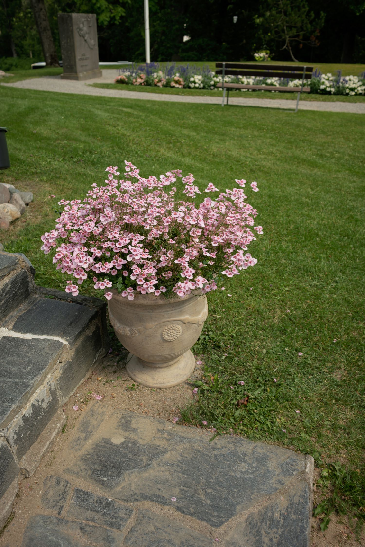 A decorative stone urn planter filled with pink flowers beside stone steps in a lush green park.