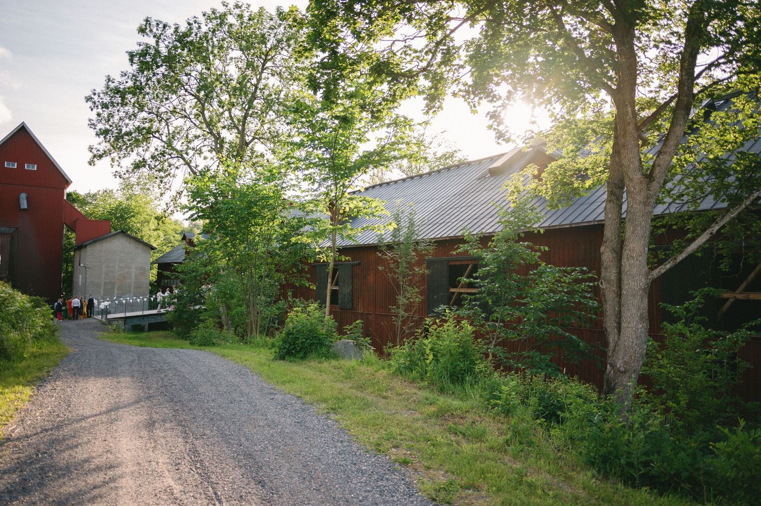 A rustic red barn sits at the end of a winding gravel driveway surrounded by lush greenery.