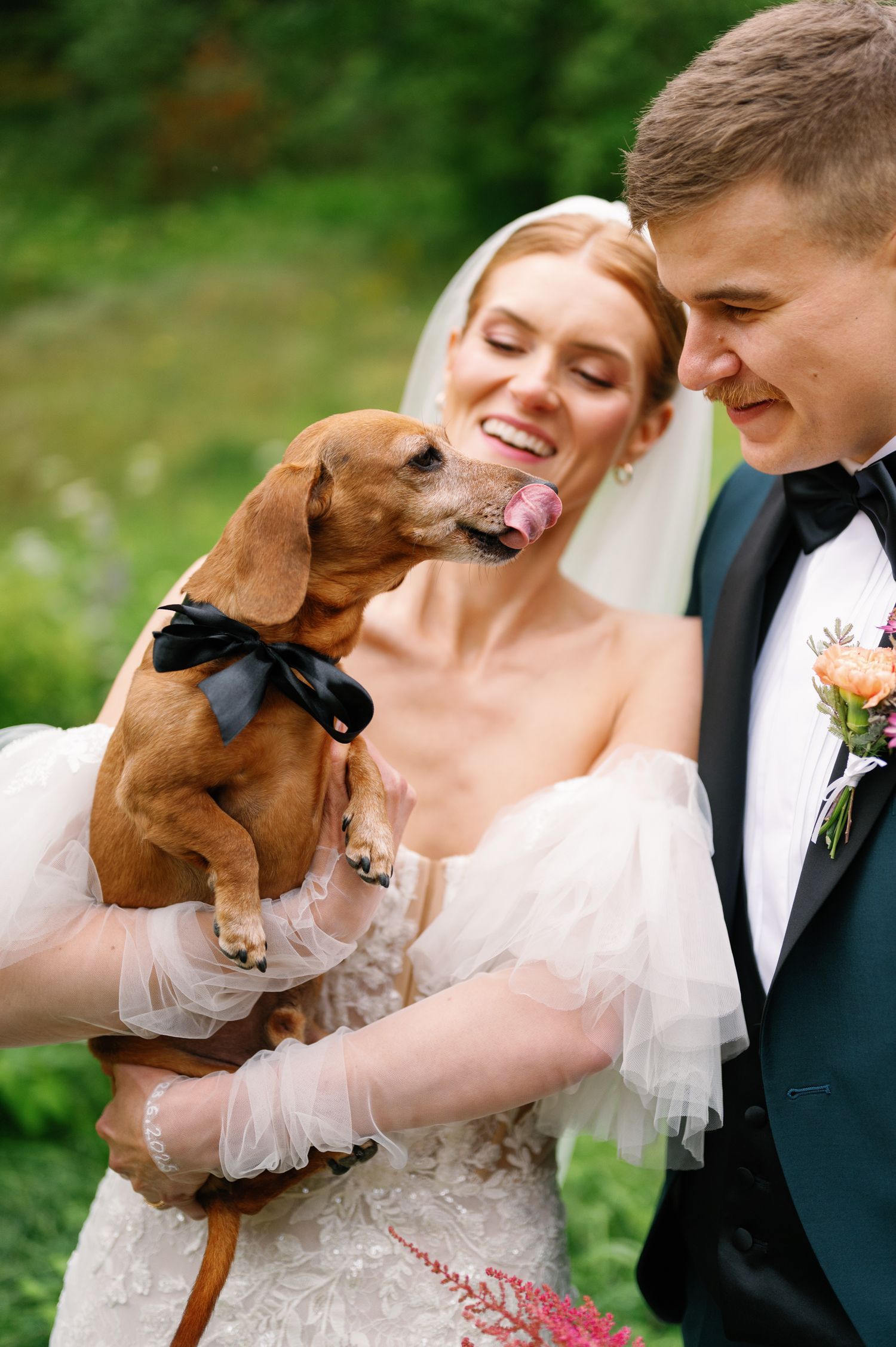 A playful wedding moment as a small dachshund gives kisses during the couple's outdoor portraits.
