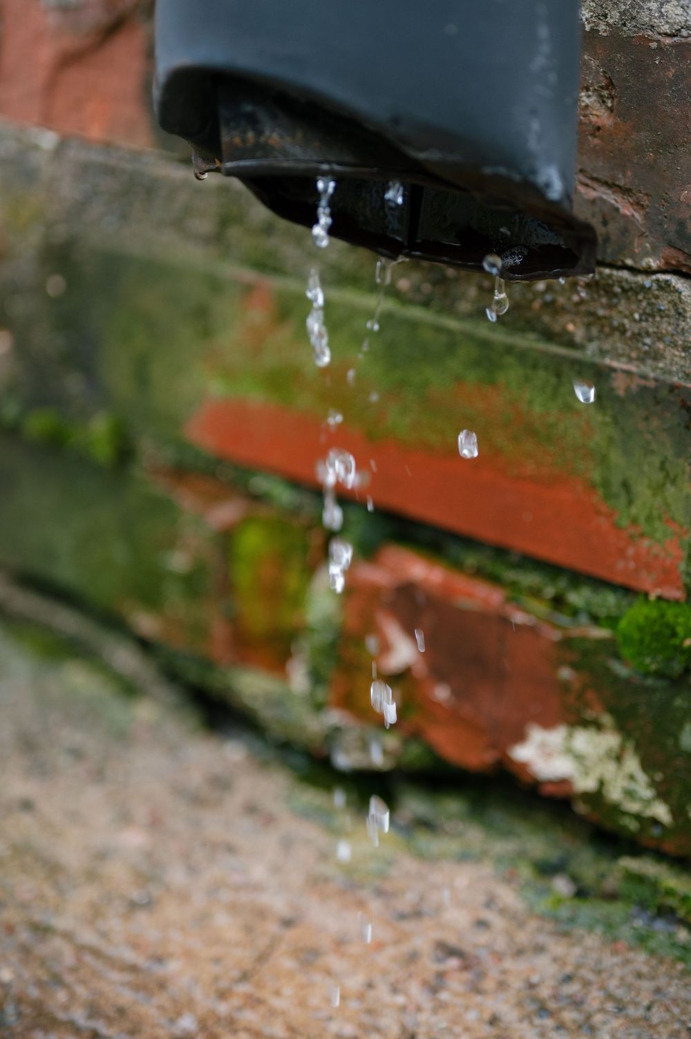 Close-up of water droplets falling against a mossy brick background.