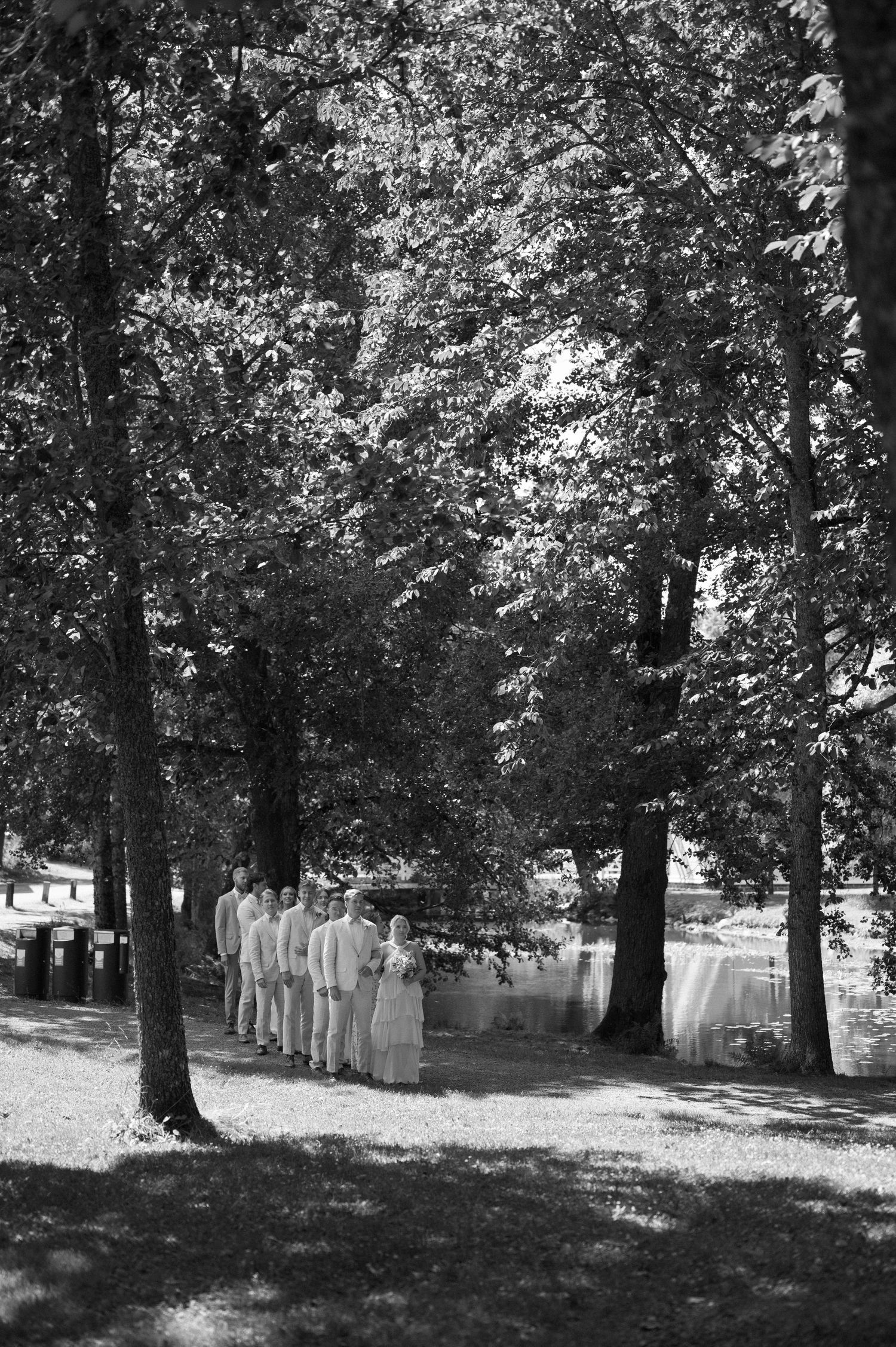 Black and white photo of trees casting shadows in a peaceful park setting.