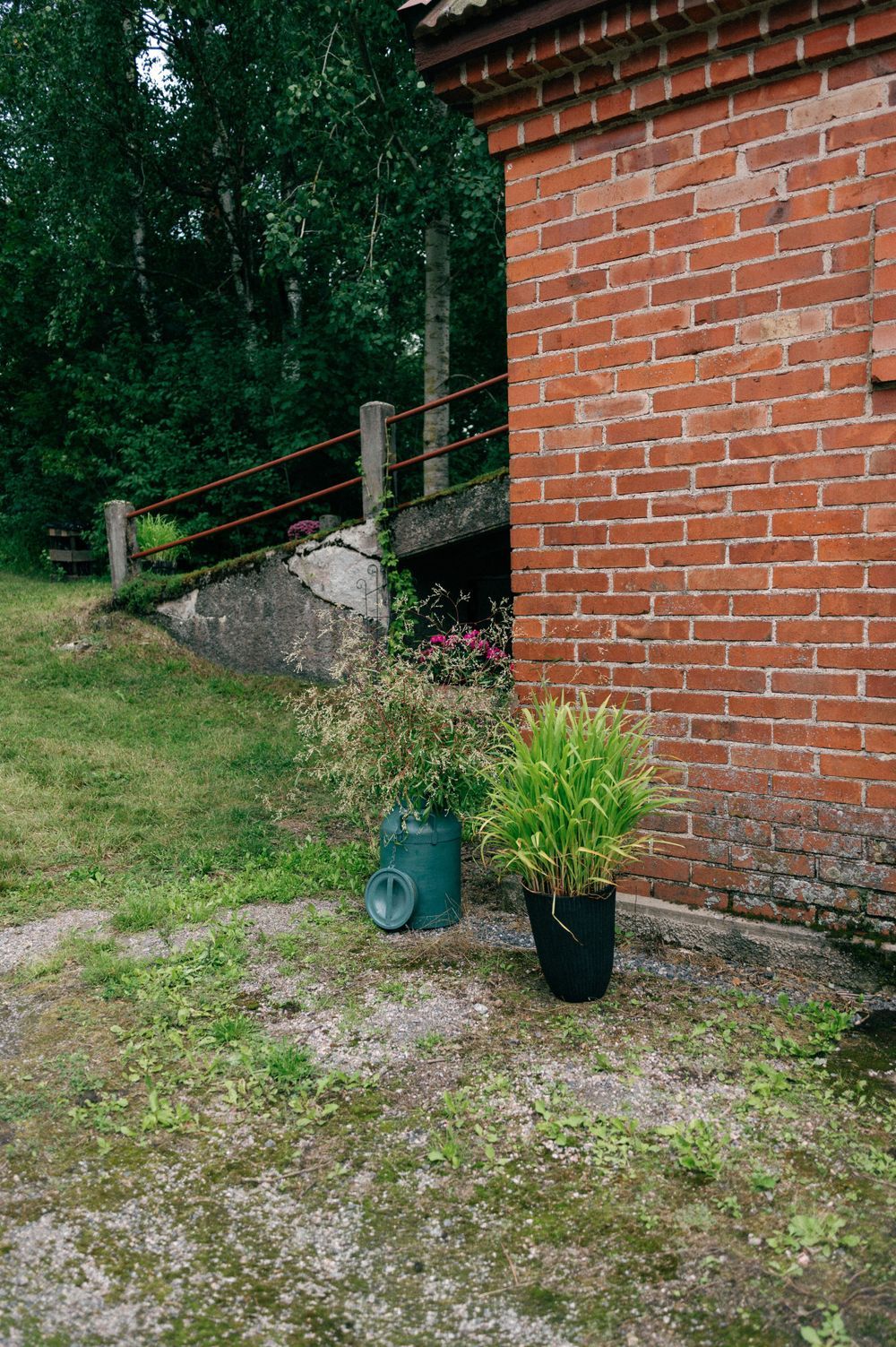 Red brick wall exterior with green plants and landscaping along the foundation.